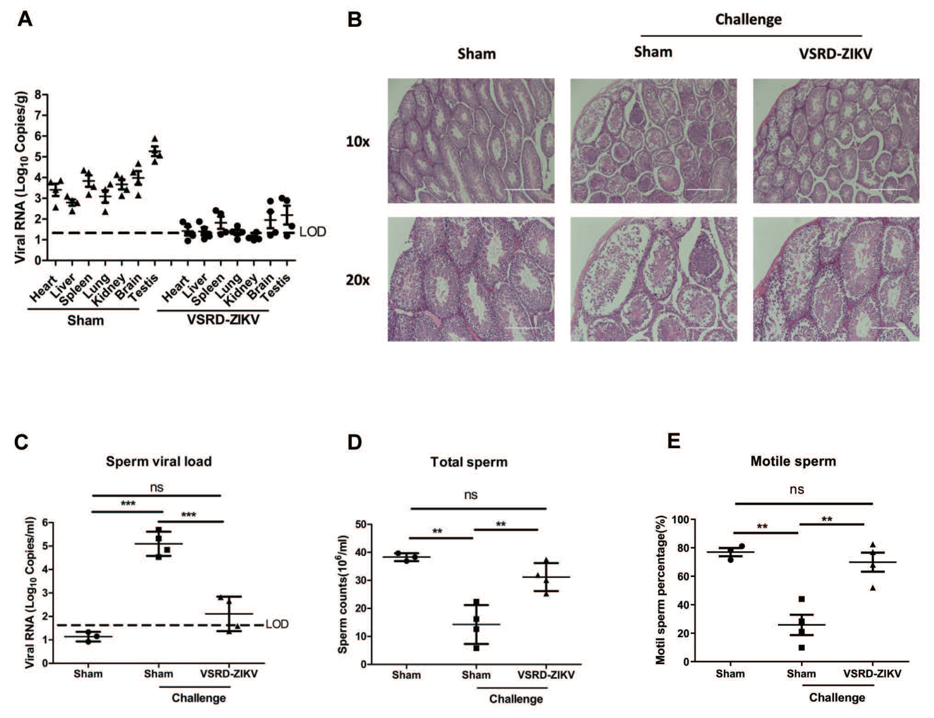 Vaccines 09 00338 g003