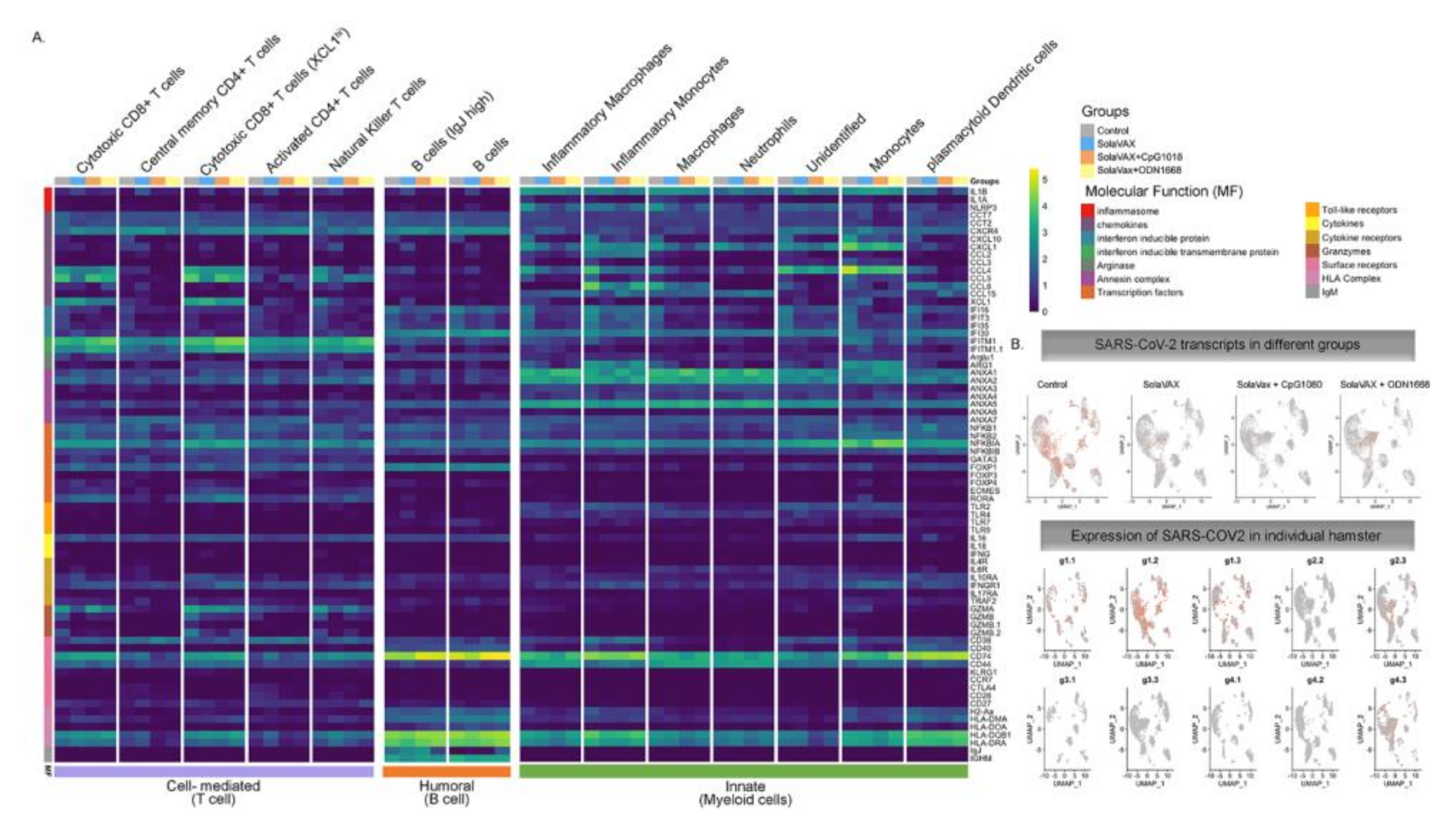 Vaccines 09 00340 g008 Vaccines 09 00340 g008