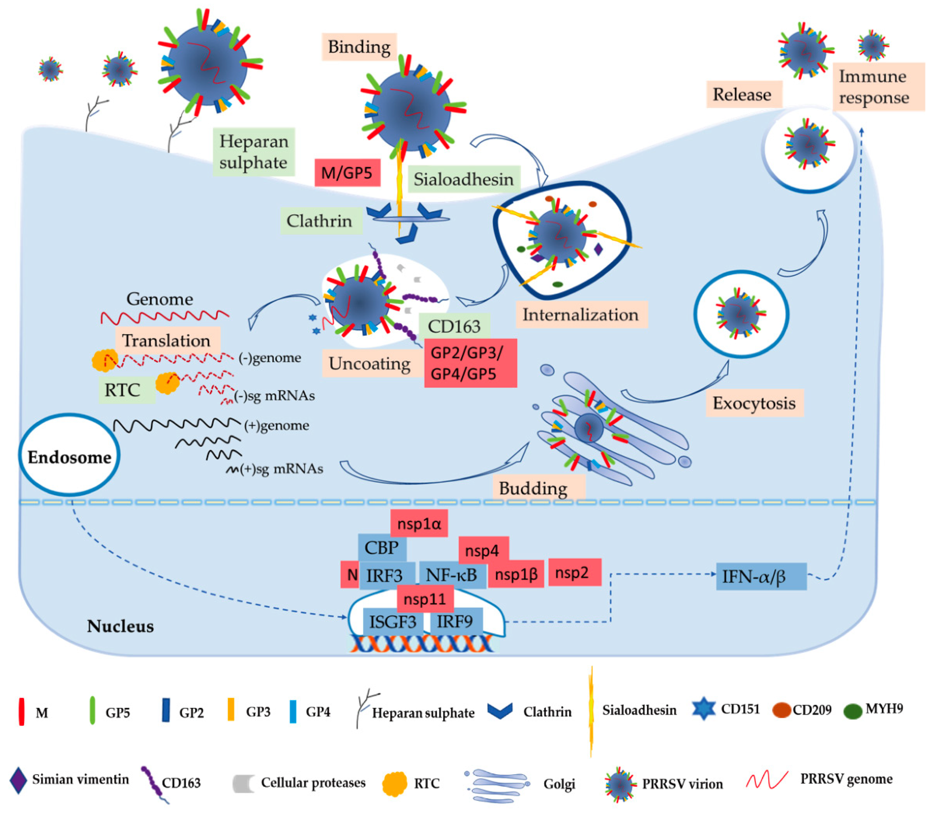 Vaccines 09 00364 g001 Vaccines 09 00364 g001