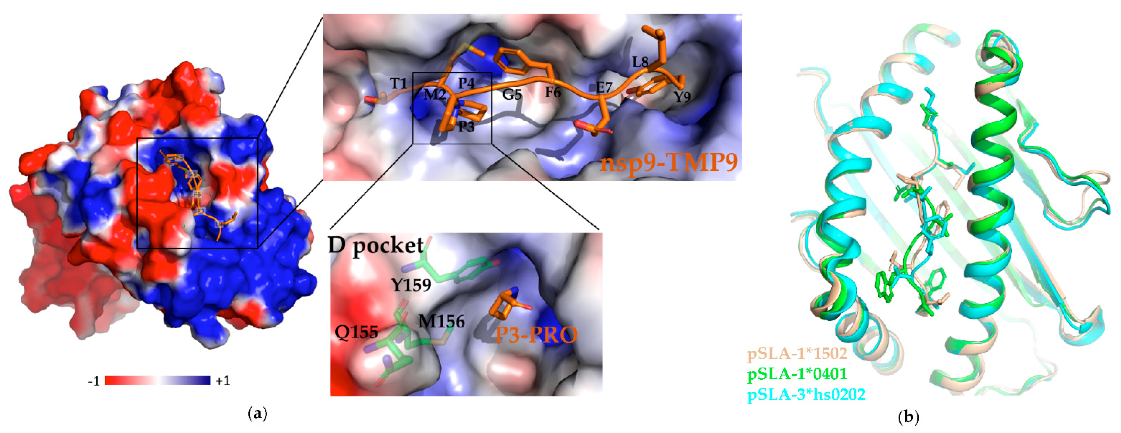 Vaccines 09 00364 g002 Vaccines 09 00364 g002