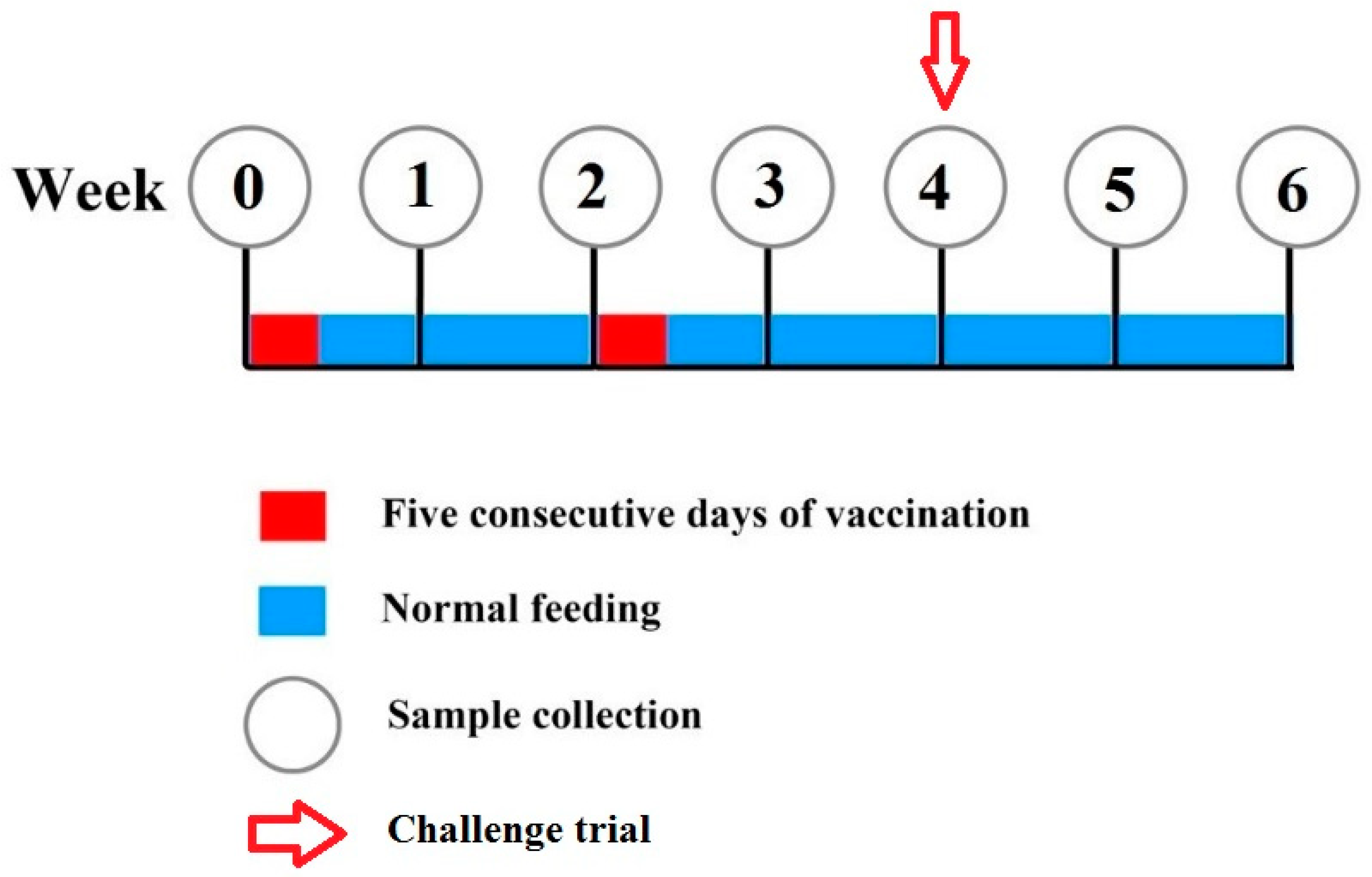 Vaccines 09 00368 g001
