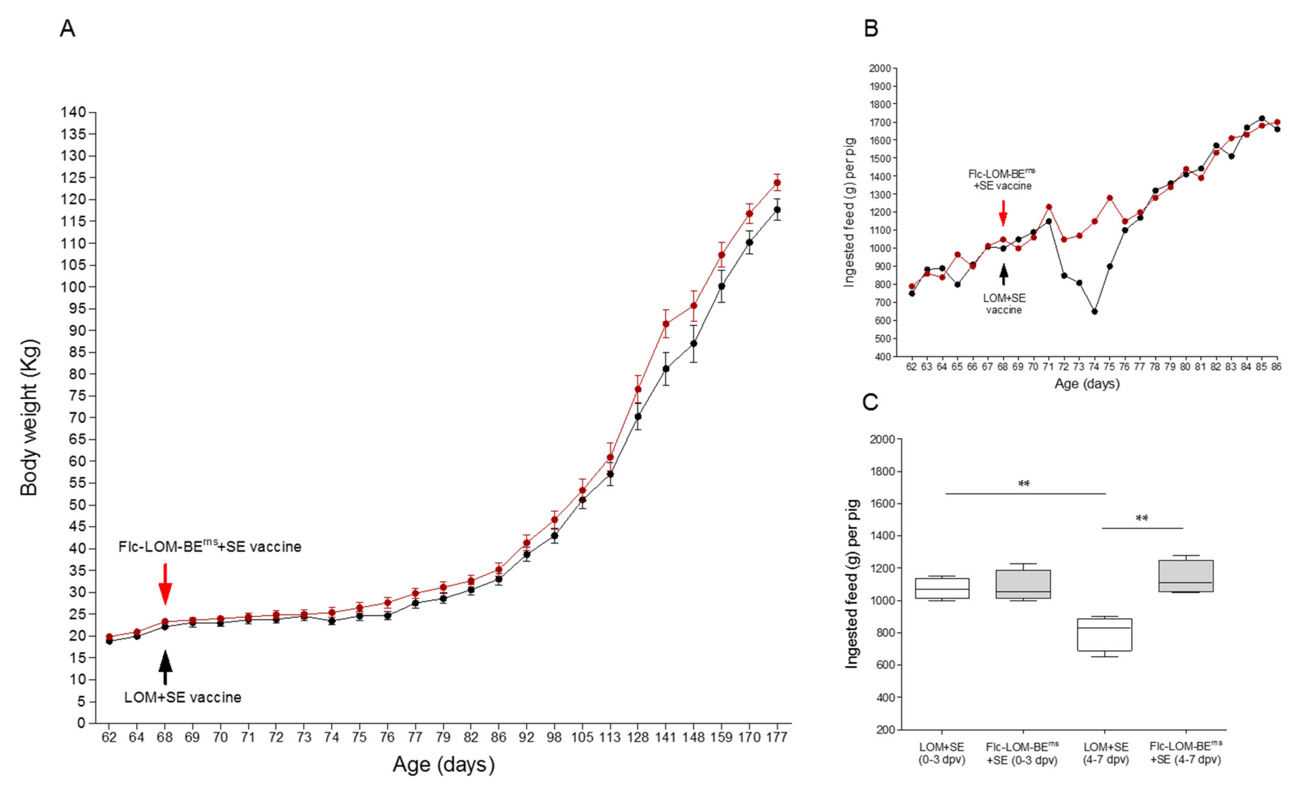 Vaccines 09 00381 g001