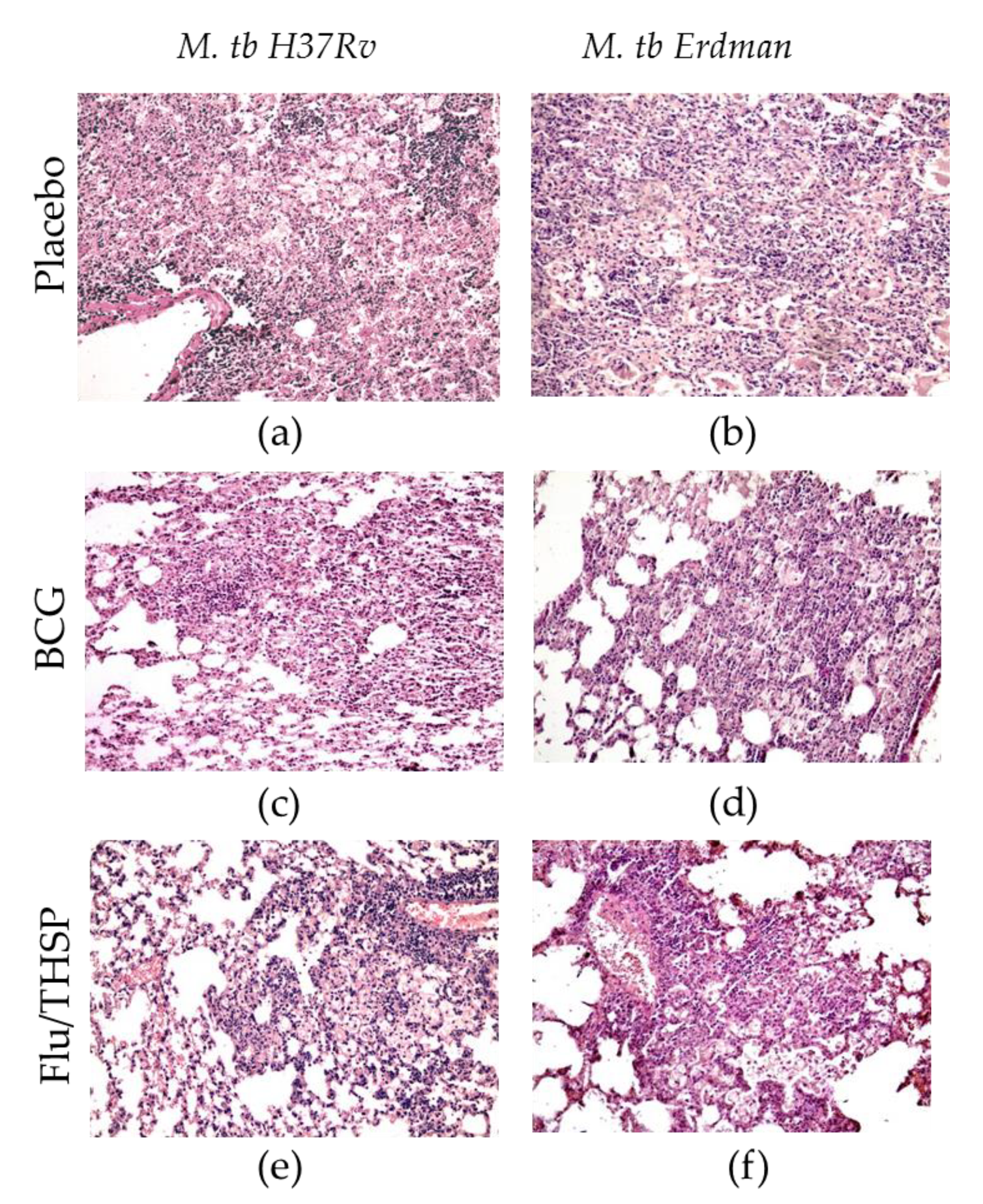 Vaccines 09 00394 g005
