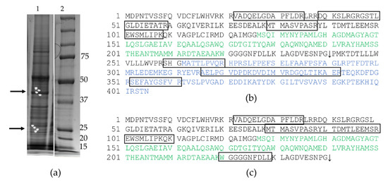 Vaccines 09 00394 g0a1
