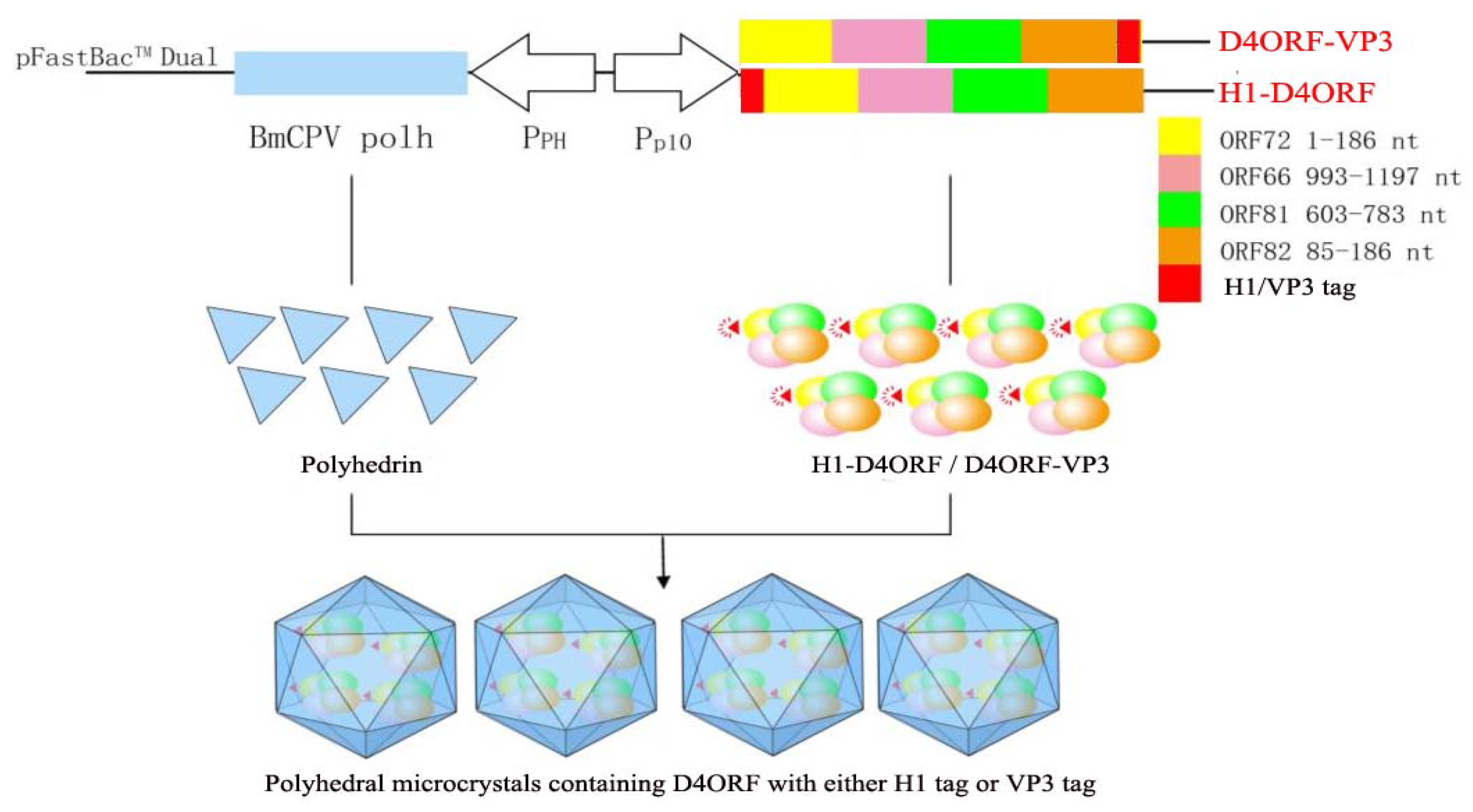 Vaccines 09 00397 g001