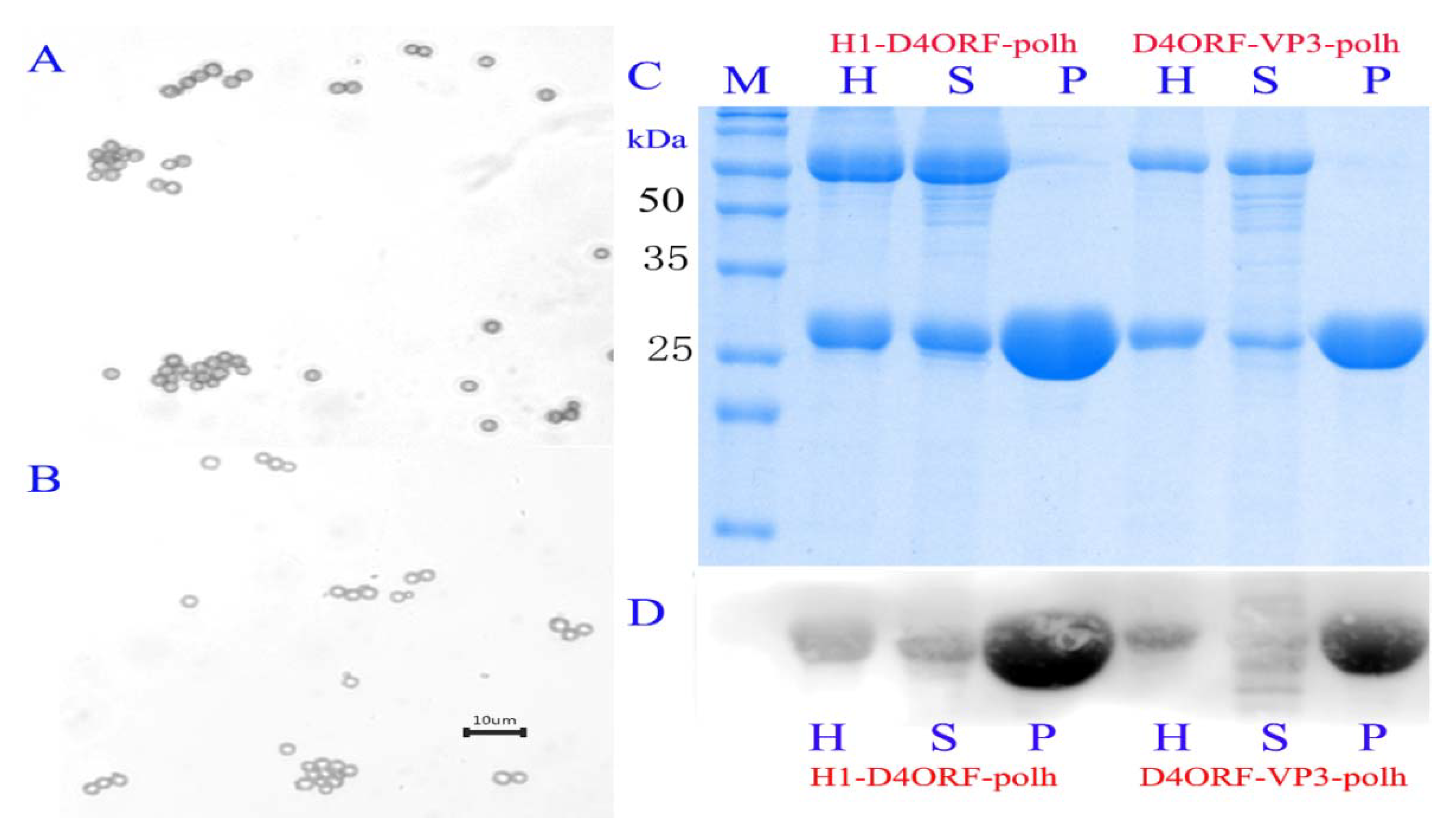 Vaccines 09 00397 g003