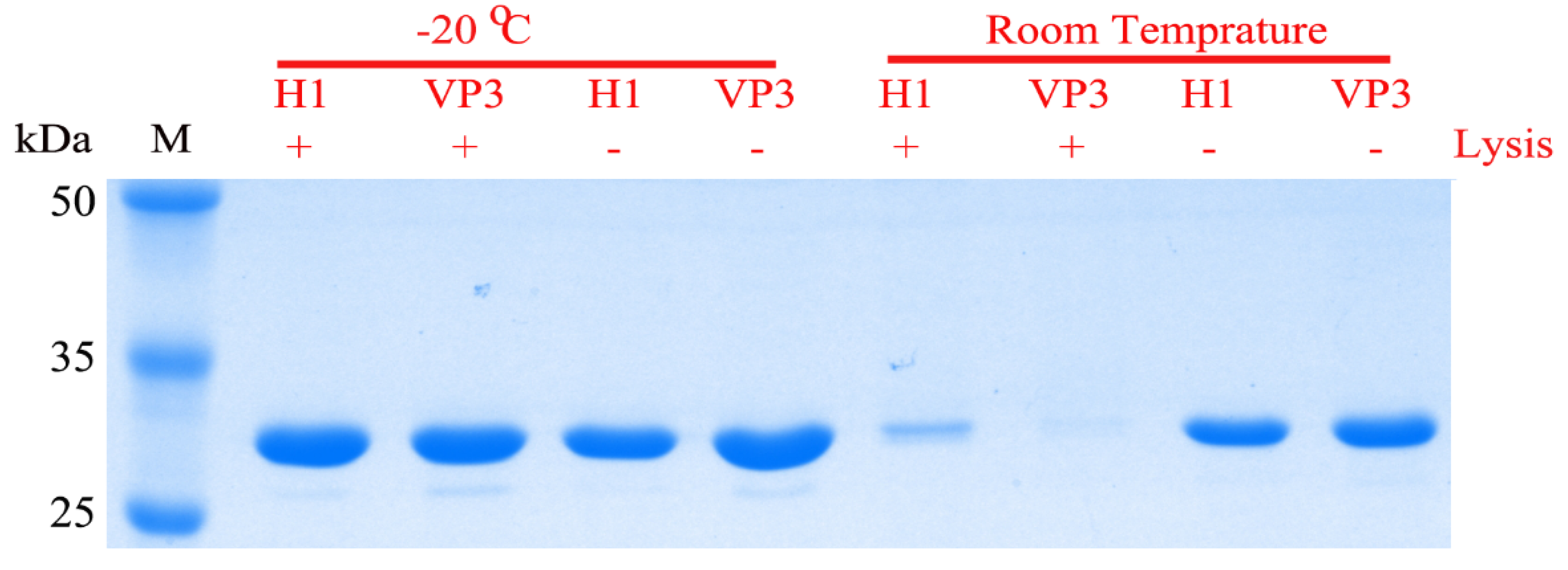 Vaccines 09 00397 g004