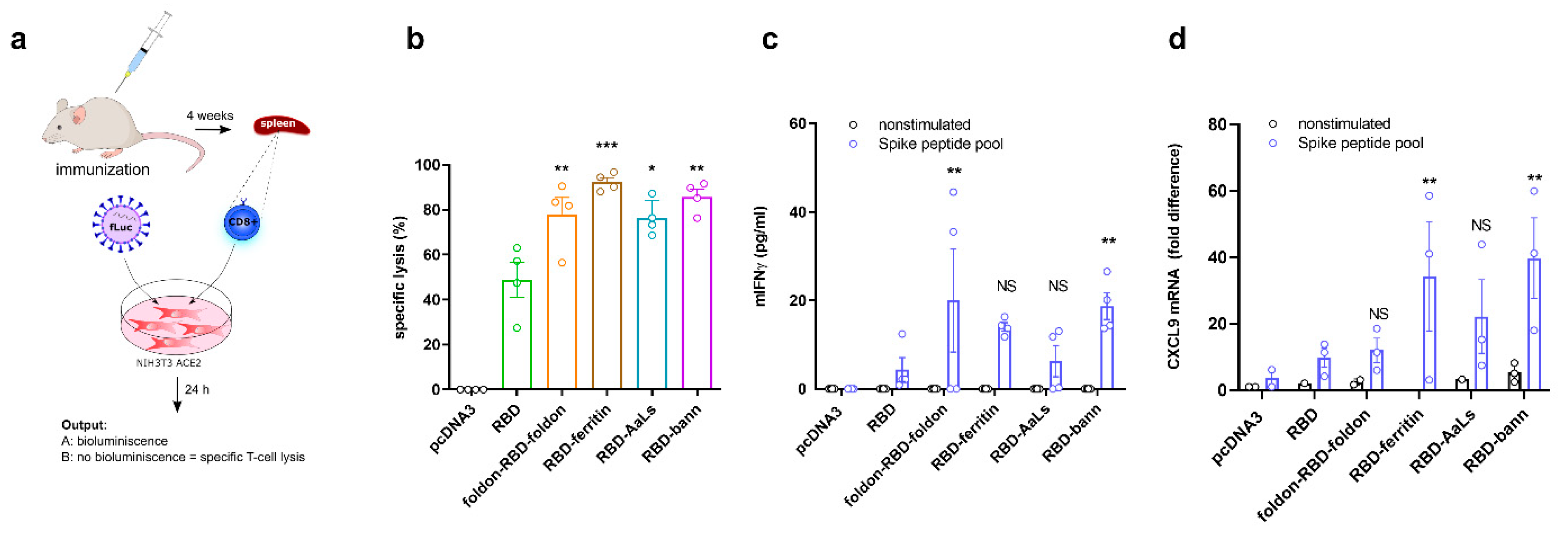 Vaccines 09 00431 g004 Vaccines 09 00431 g004