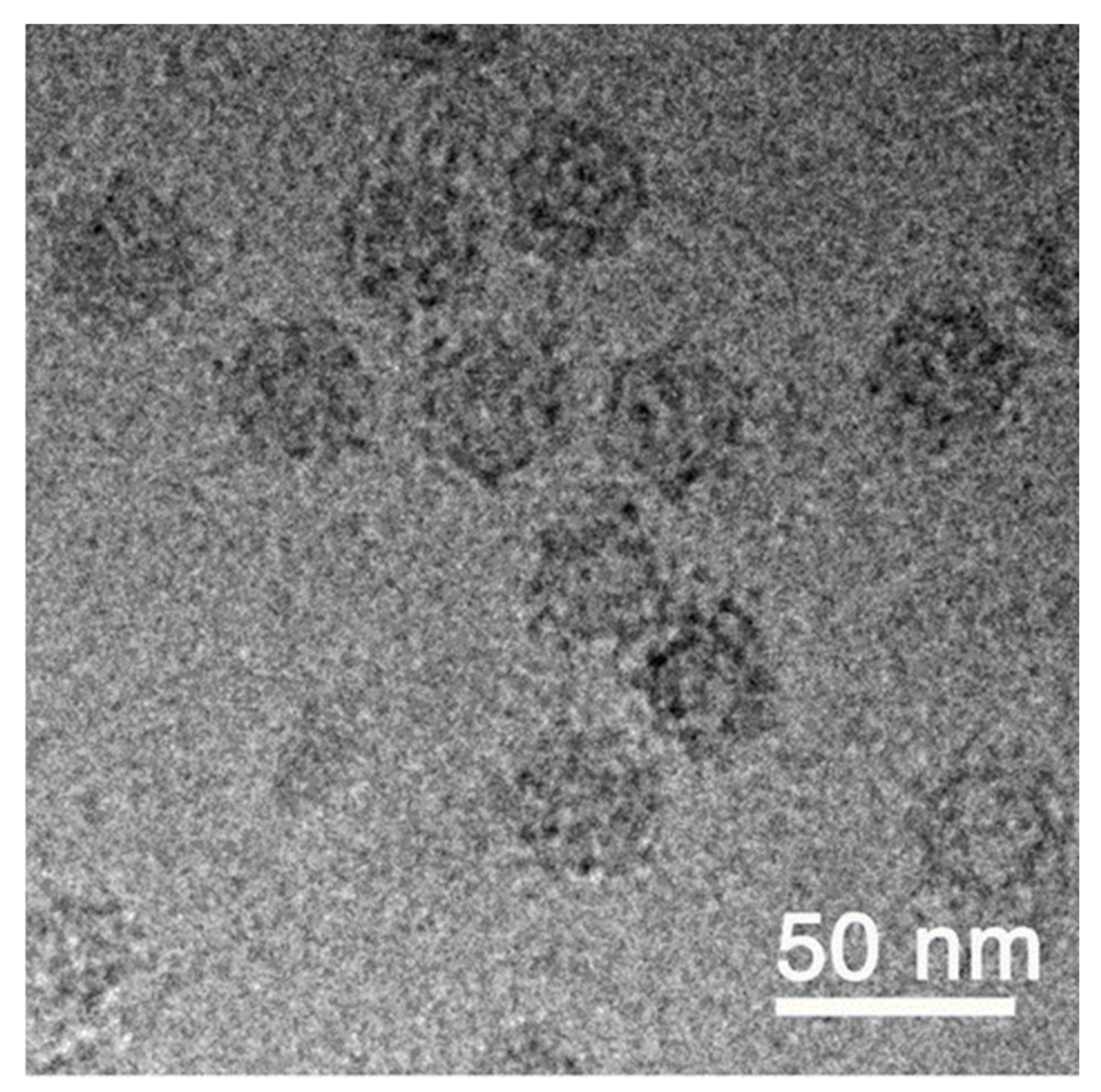 Vaccines 09 00447 g002