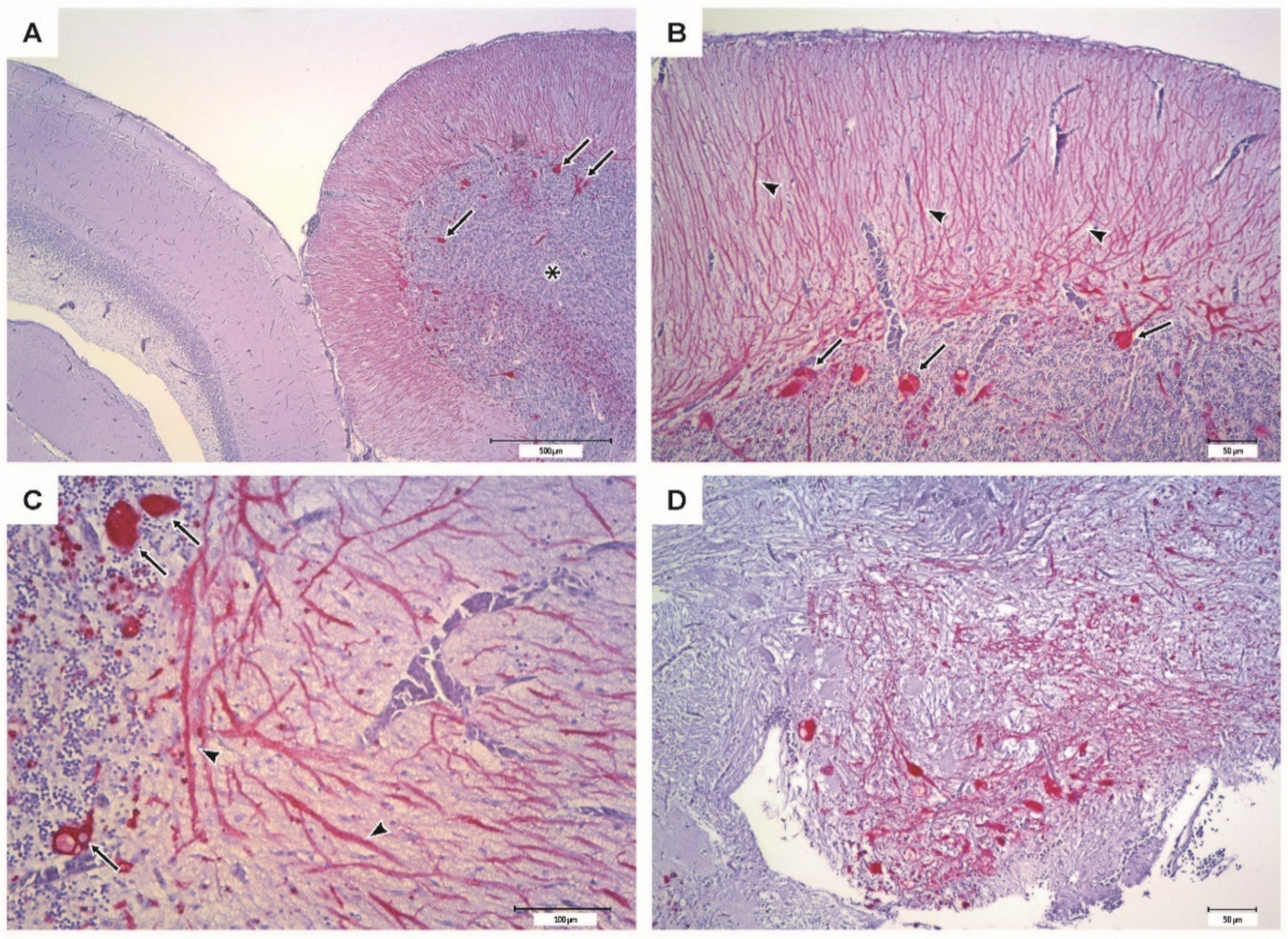 Vaccines 09 00447 g009