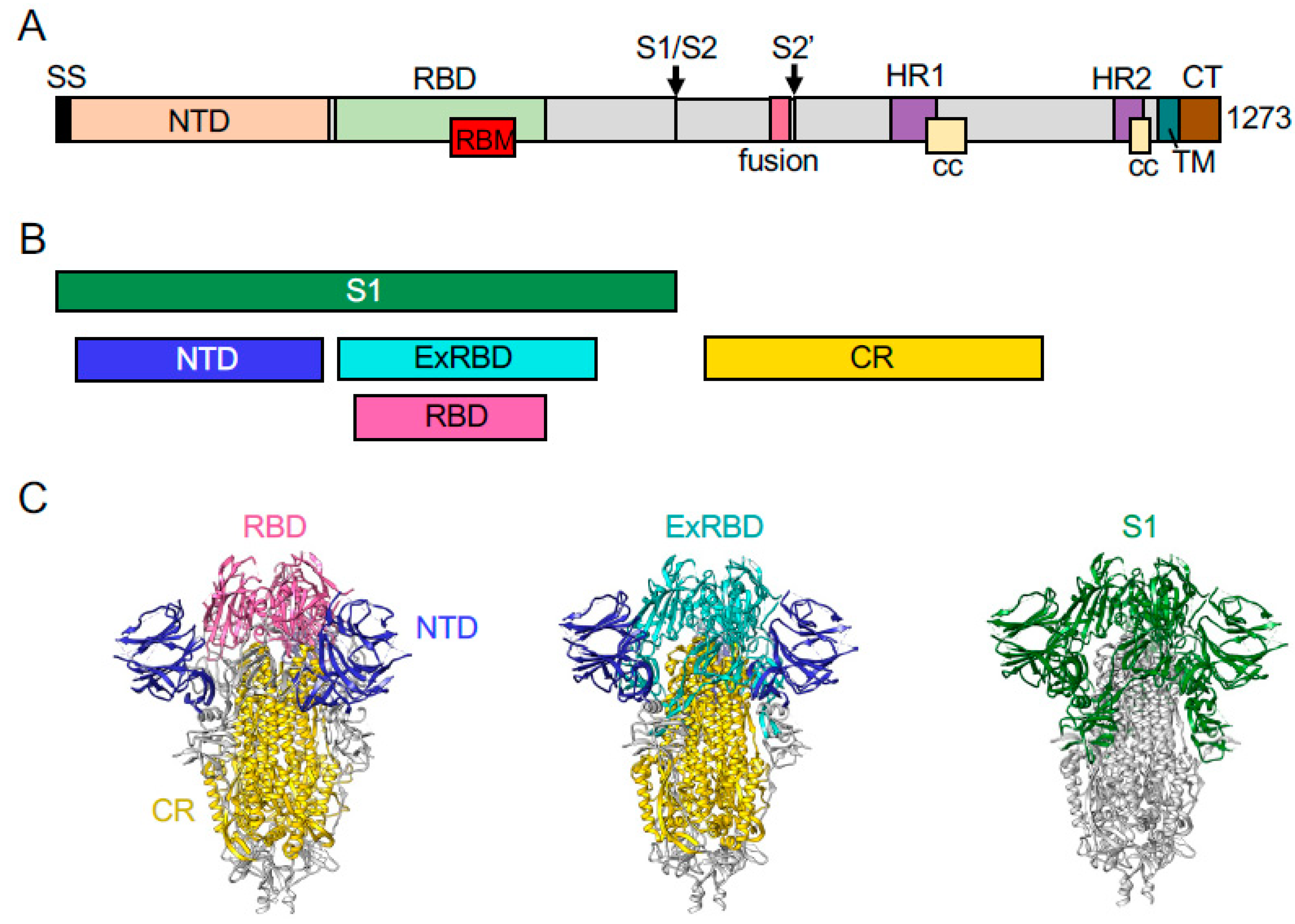 Vaccines 09 00449 g001