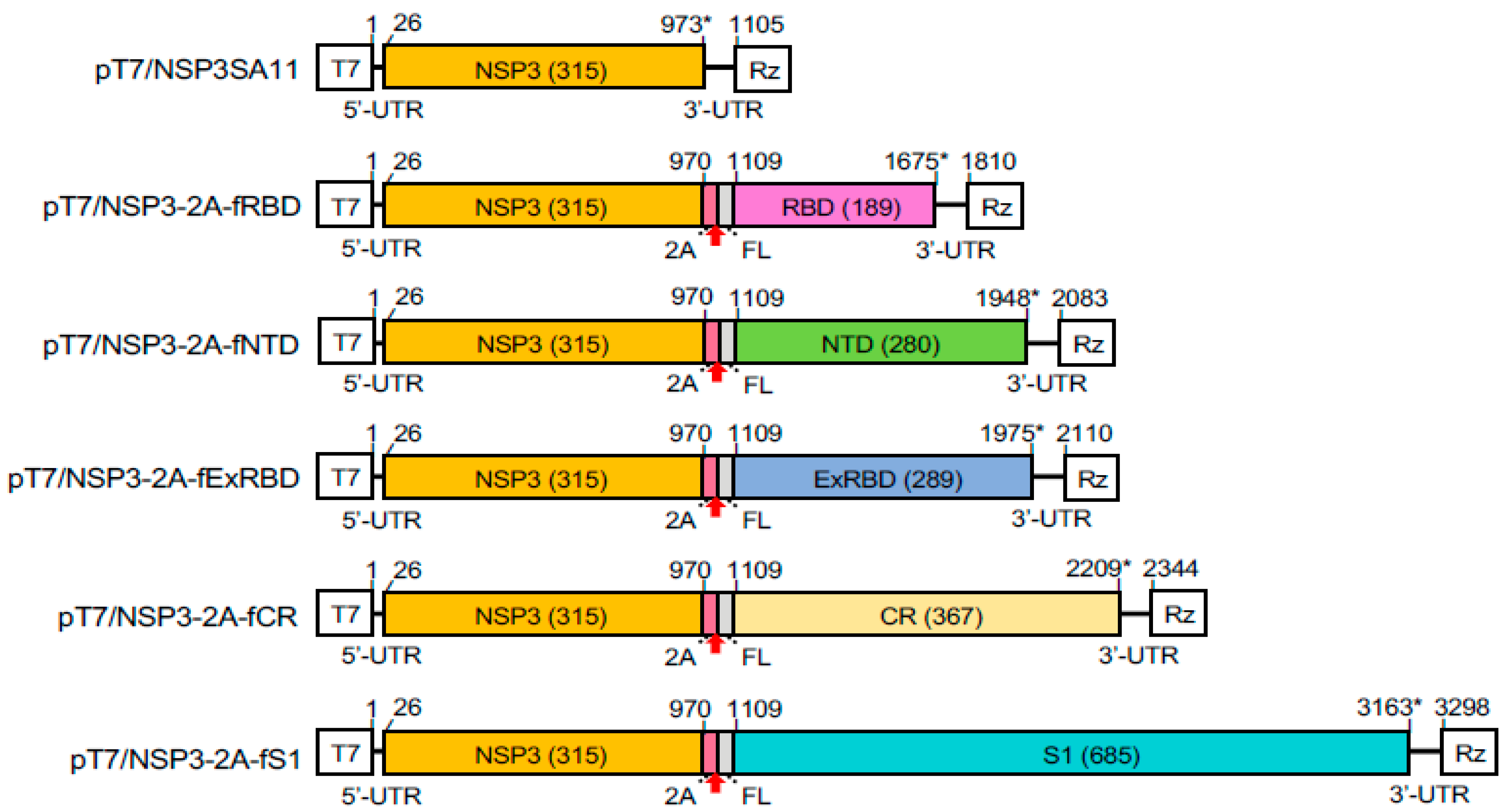 Vaccines 09 00449 g002