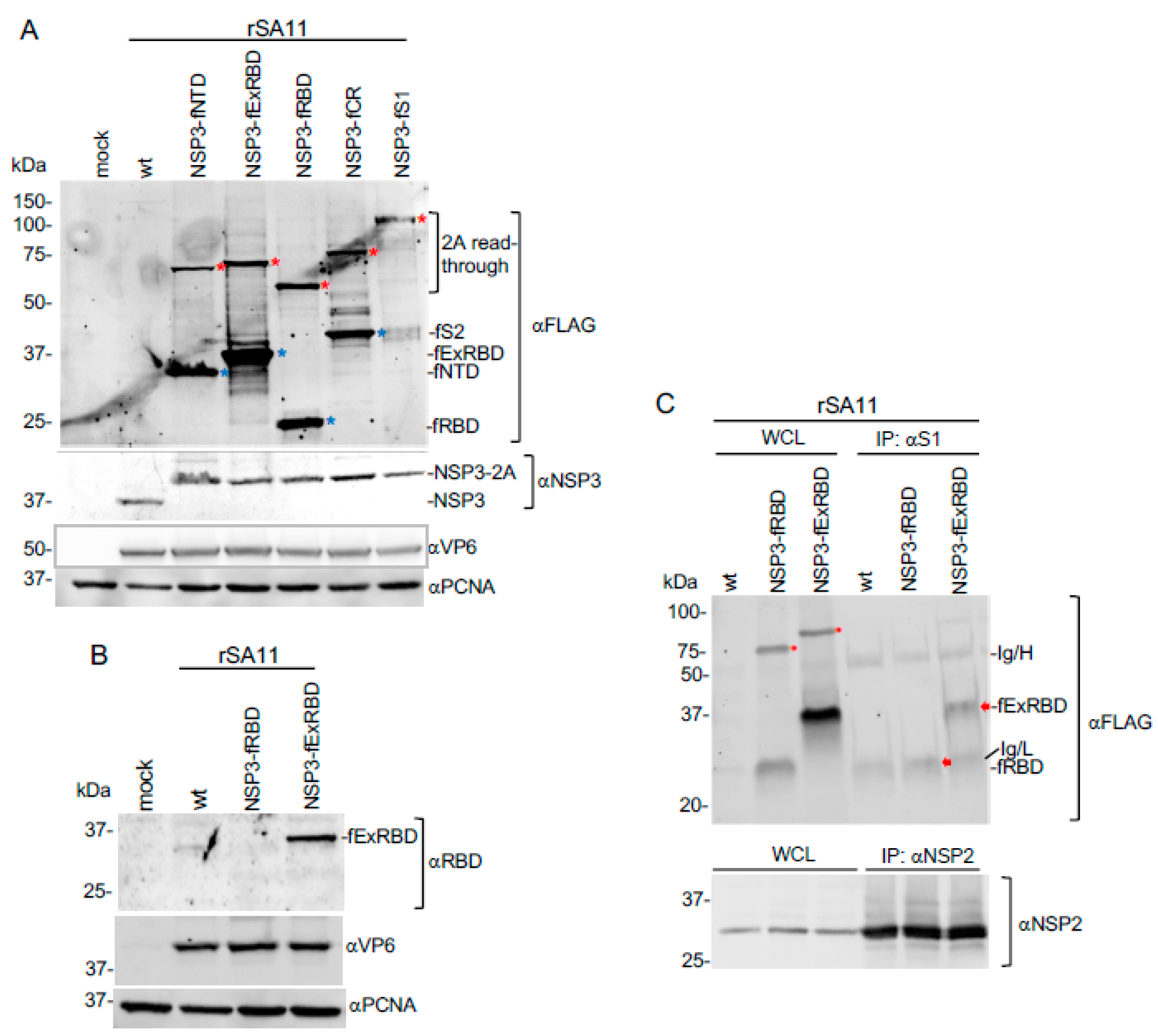 Vaccines 09 00449 g004