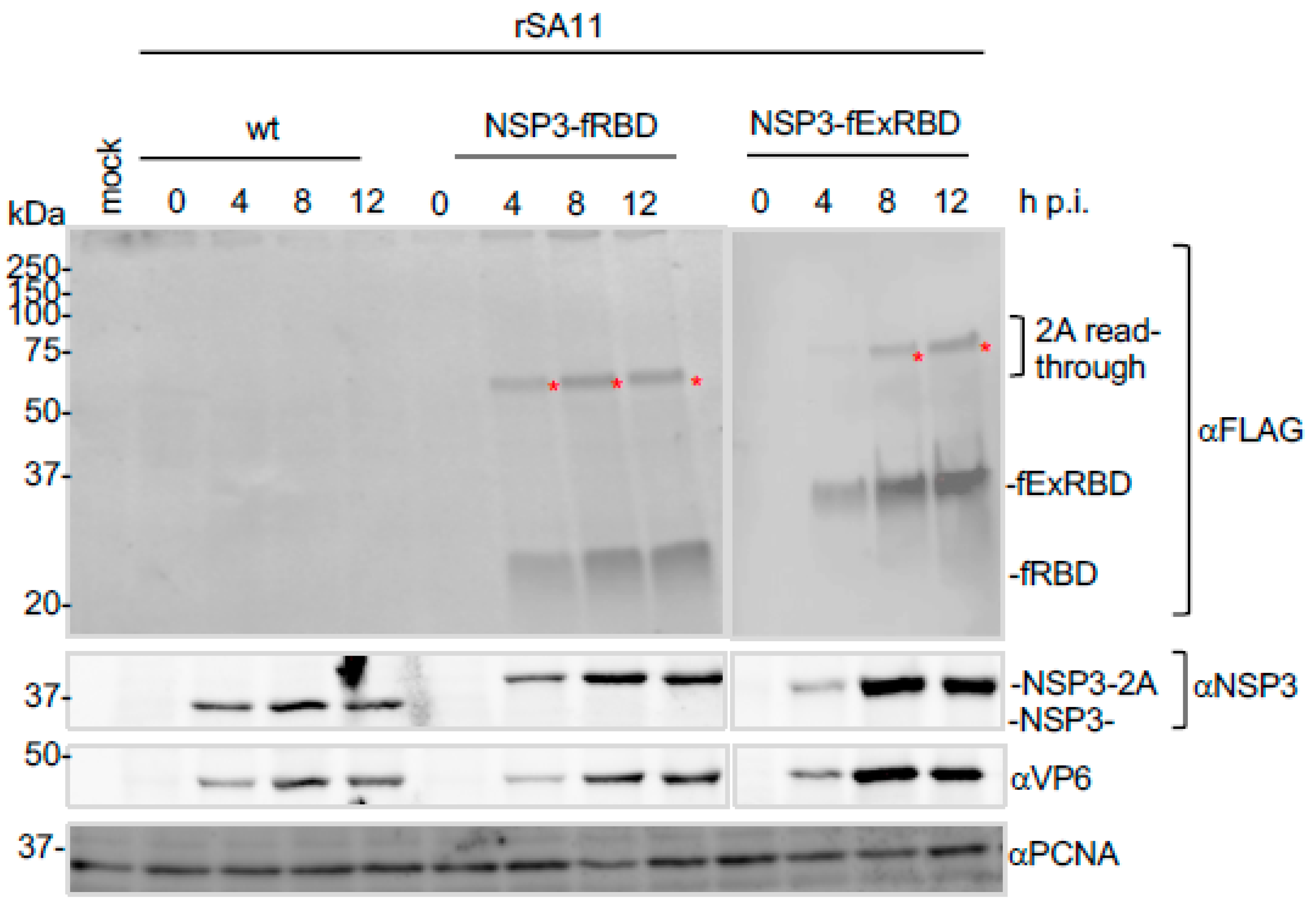 Vaccines 09 00449 g005