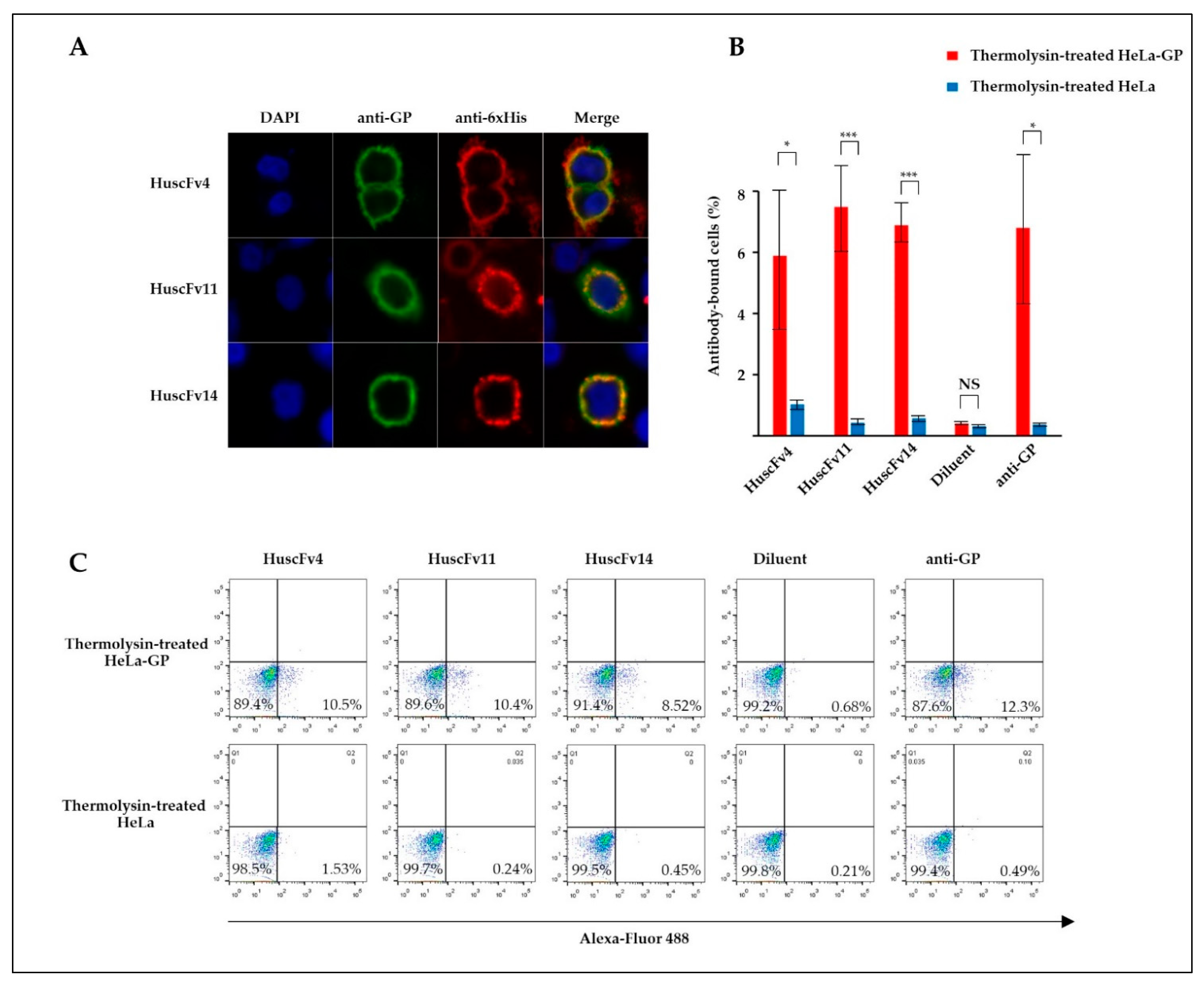 Vaccines 09 00457 g004