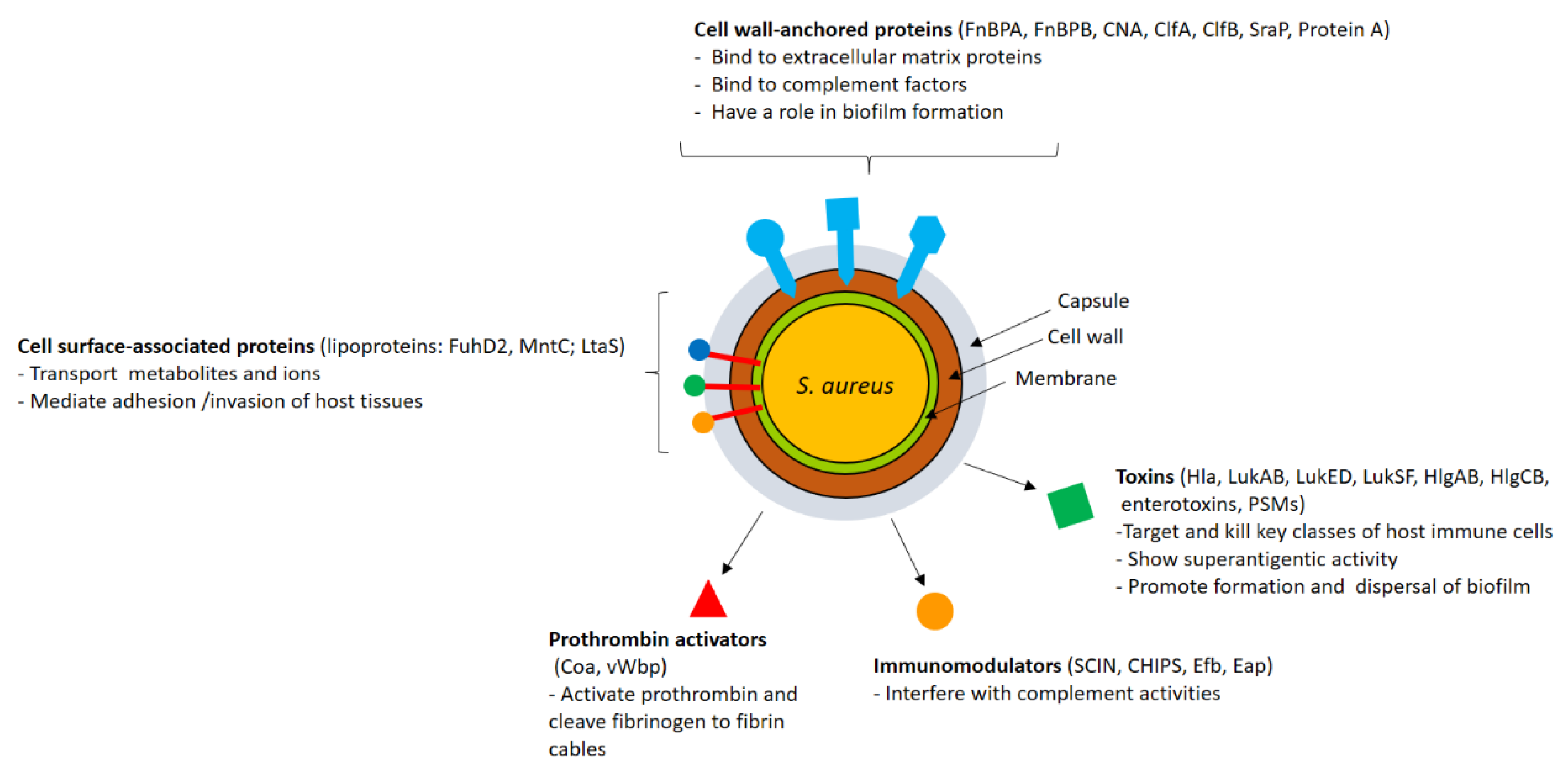 Vaccines 09 00459 g001 Vaccines 09 00459 g001