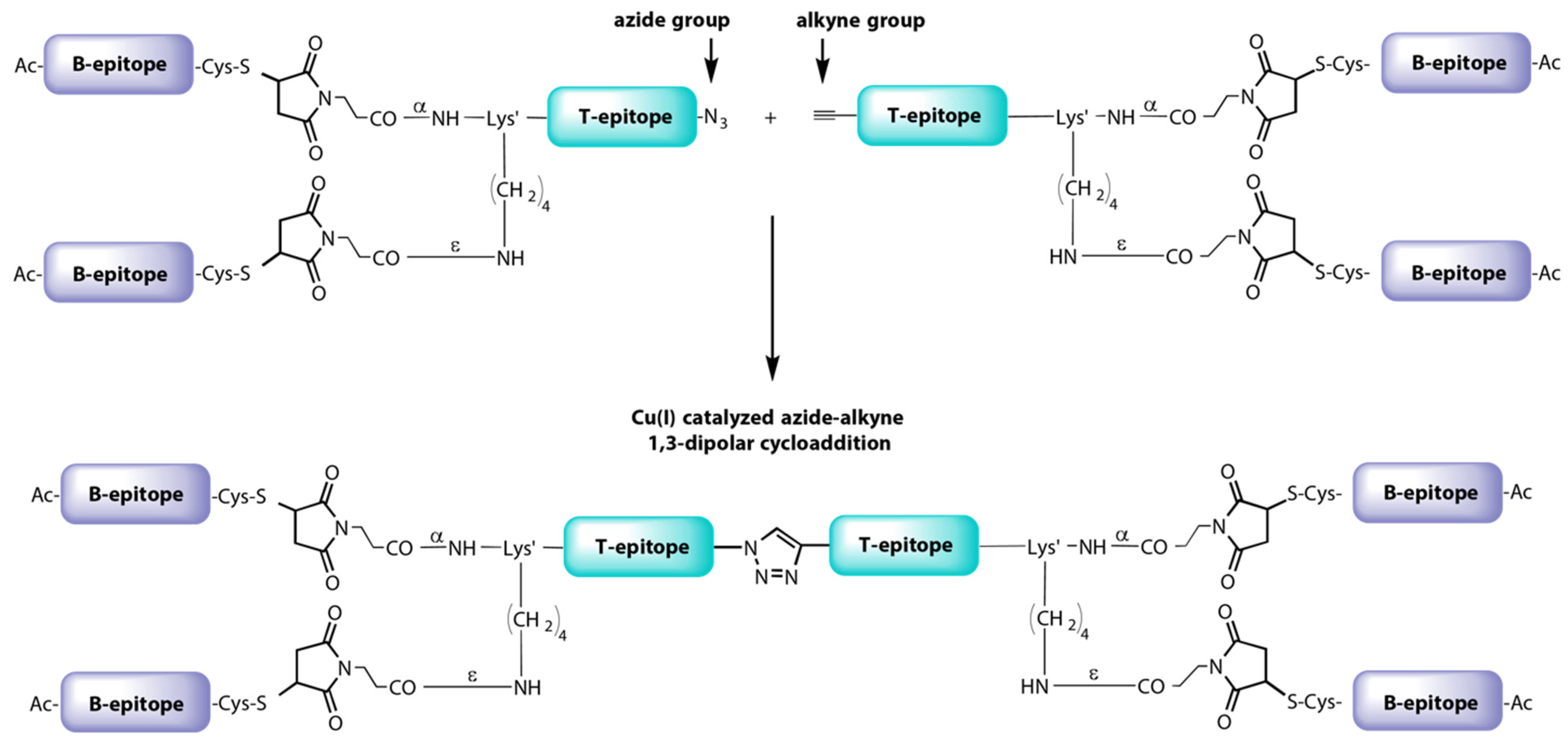 Vaccines 09 00477 g007 Vaccines 09 00477 g007