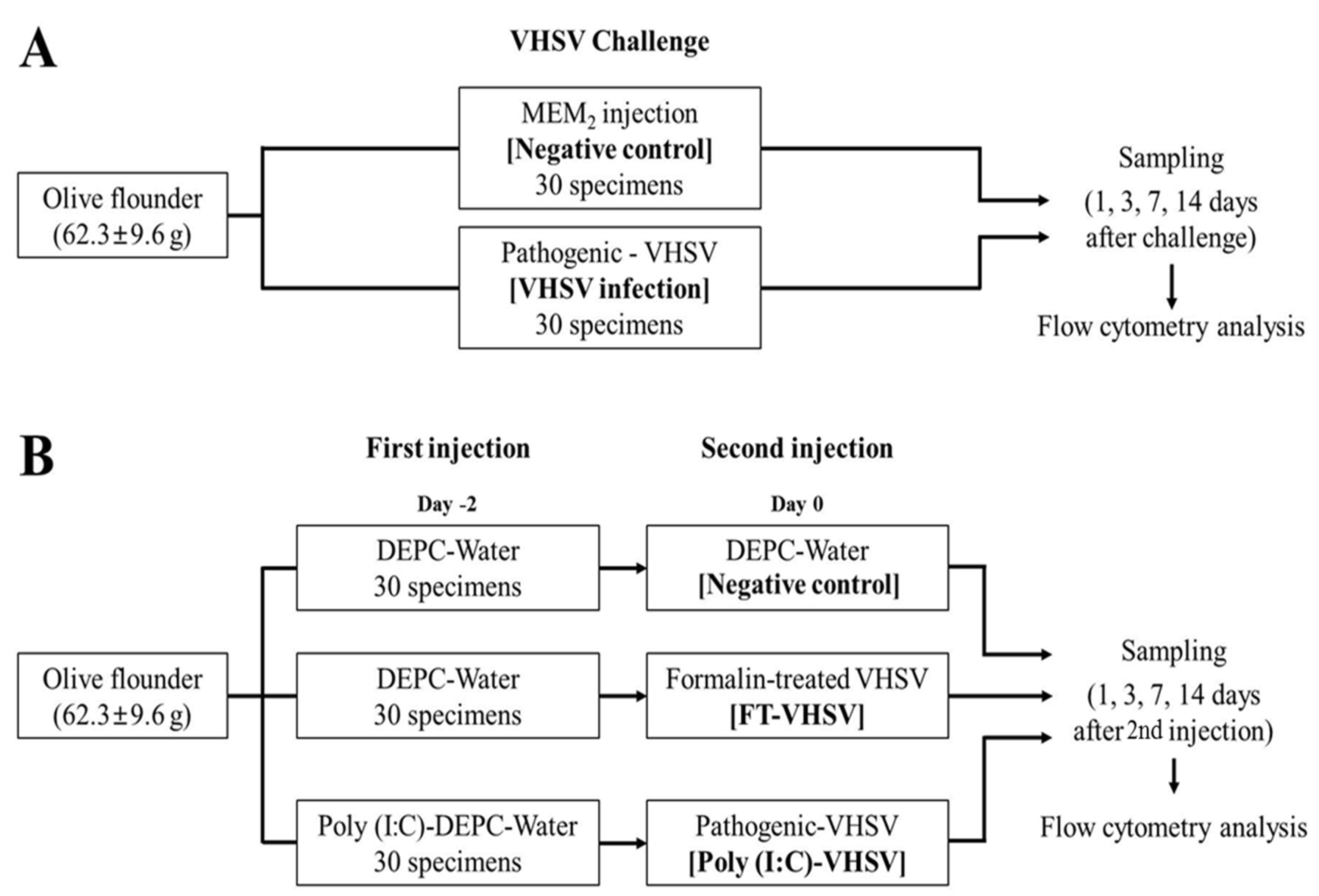 Vaccines 09 00482 g001