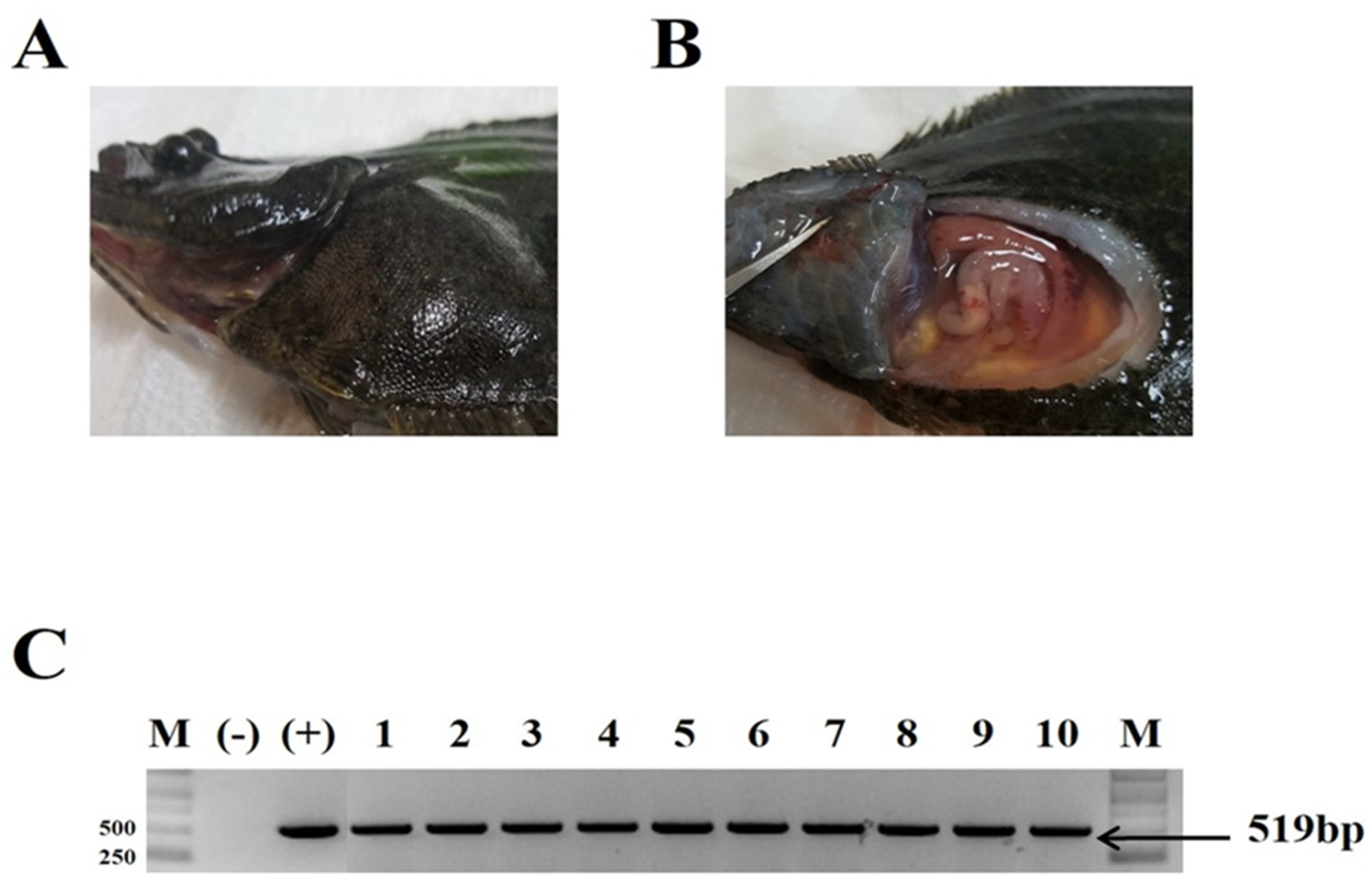 Vaccines 09 00482 g003
