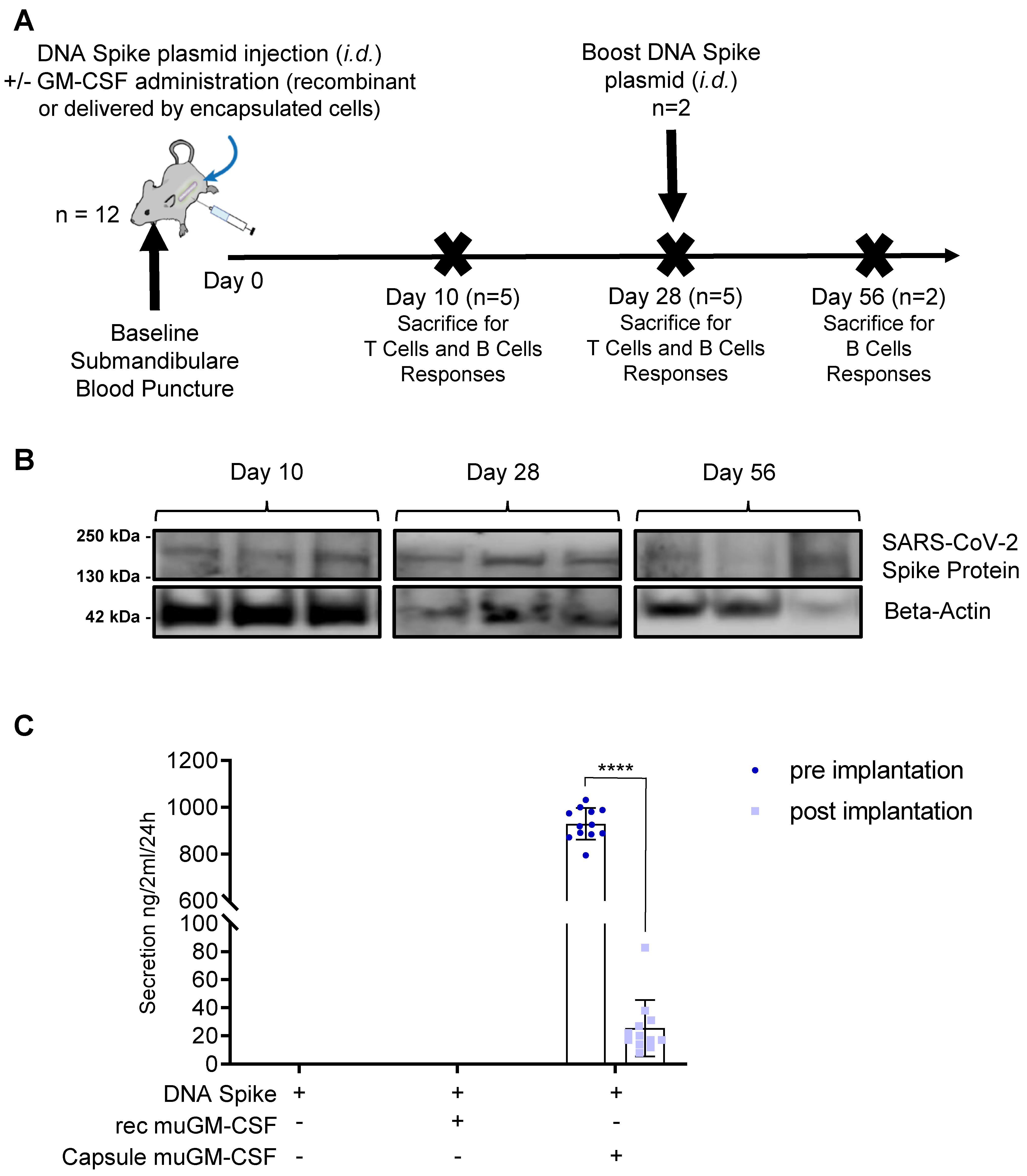 Vaccines 09 00484 g001