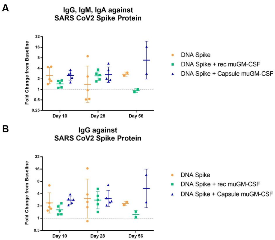 Vaccines 09 00484 g005