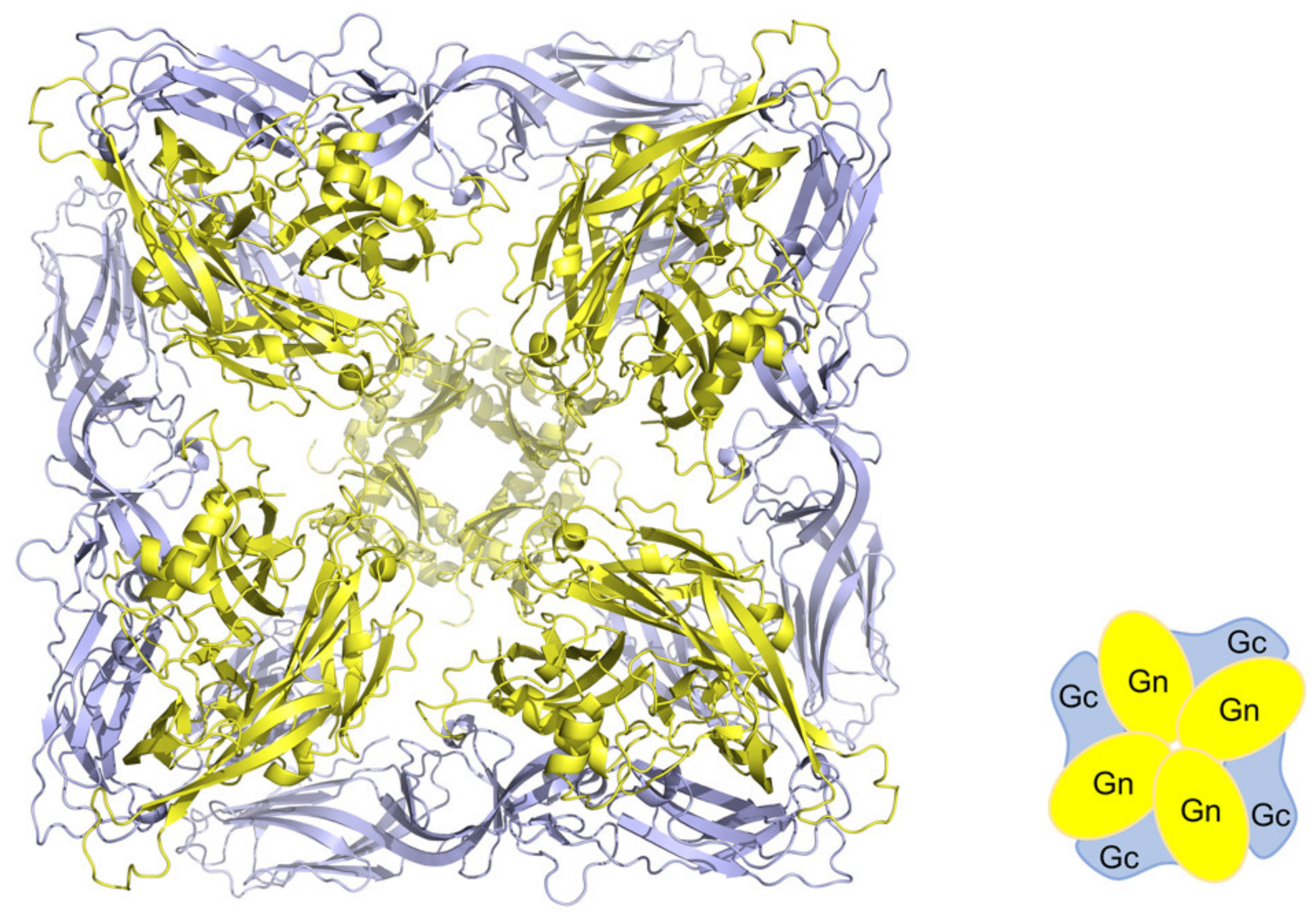 Vaccines 09 00518 g001