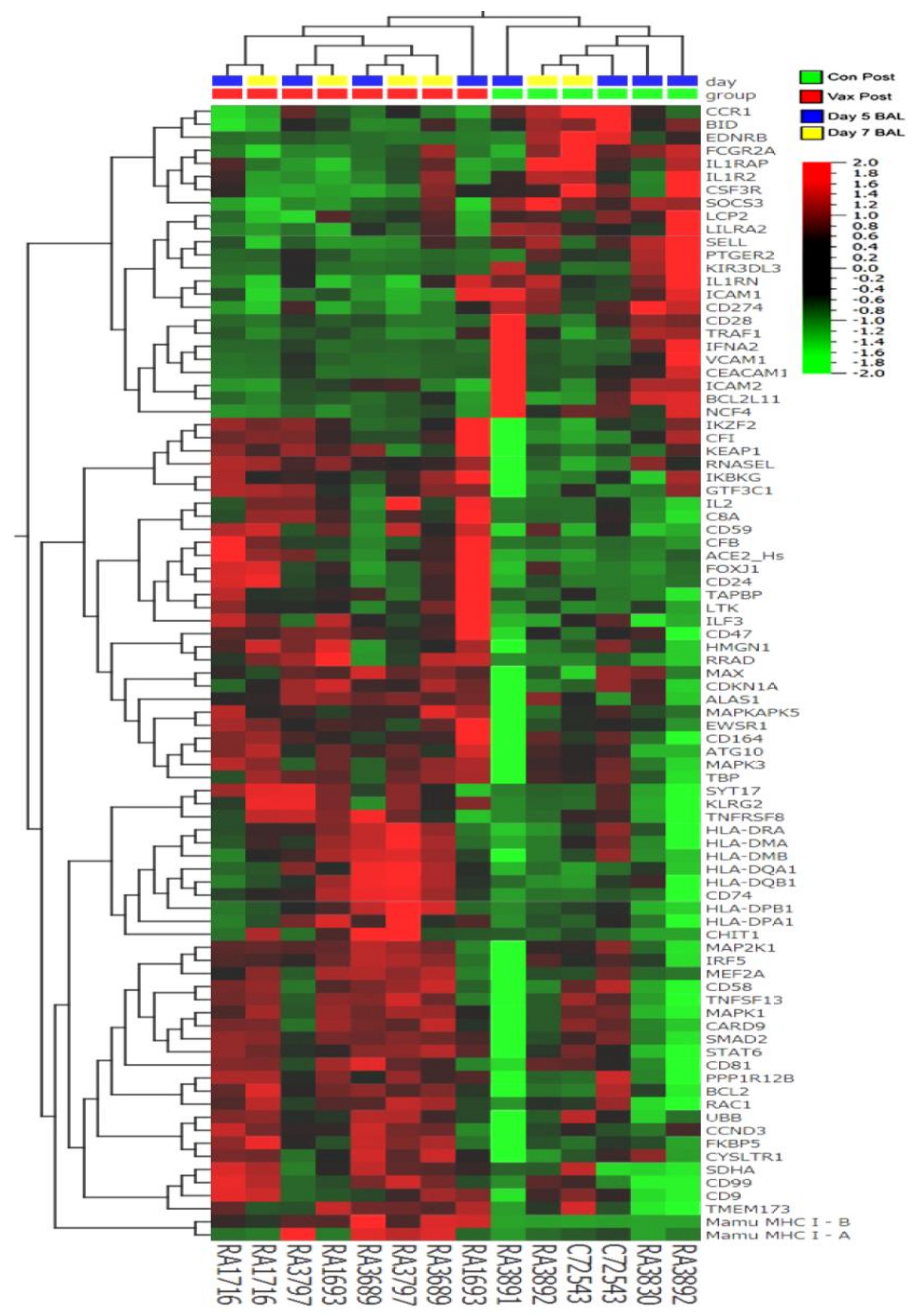 Vaccines 09 00520 g005 Vaccines 09 00520 g005