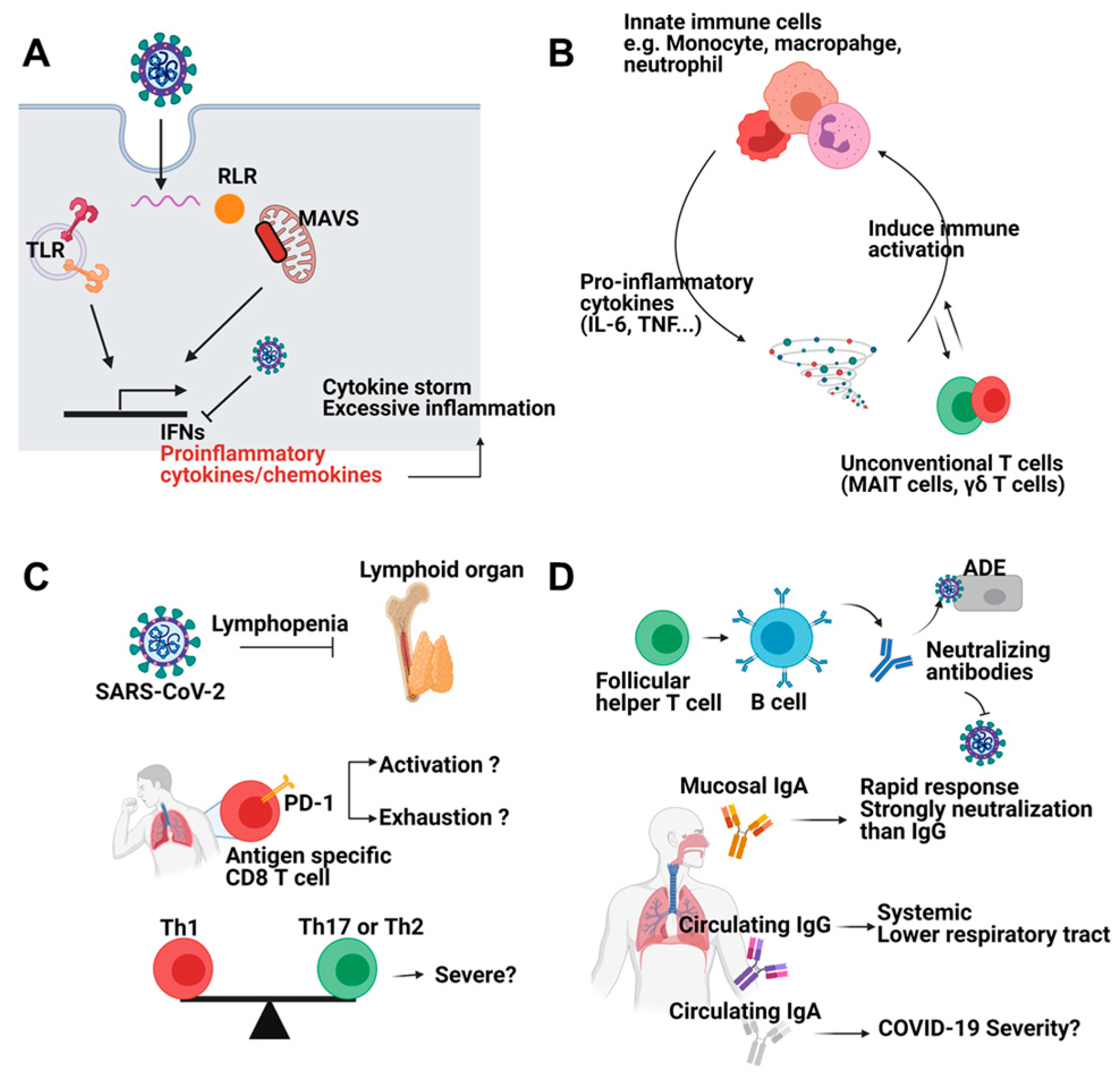 Vaccines 09 00524 g001