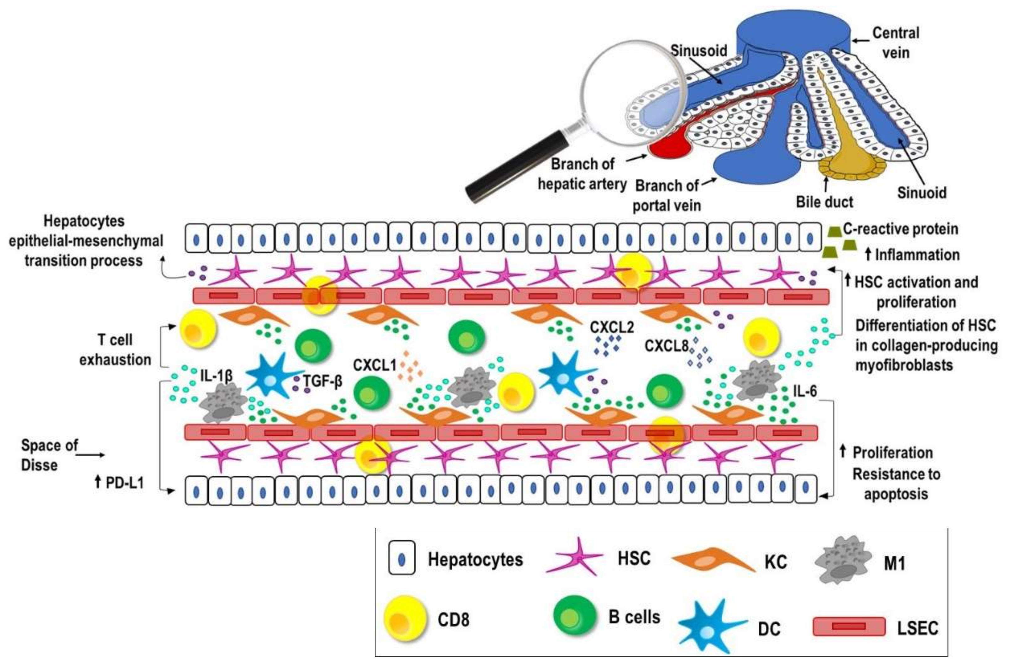 Vaccines 09 00532 g001 Vaccines 09 00532 g001