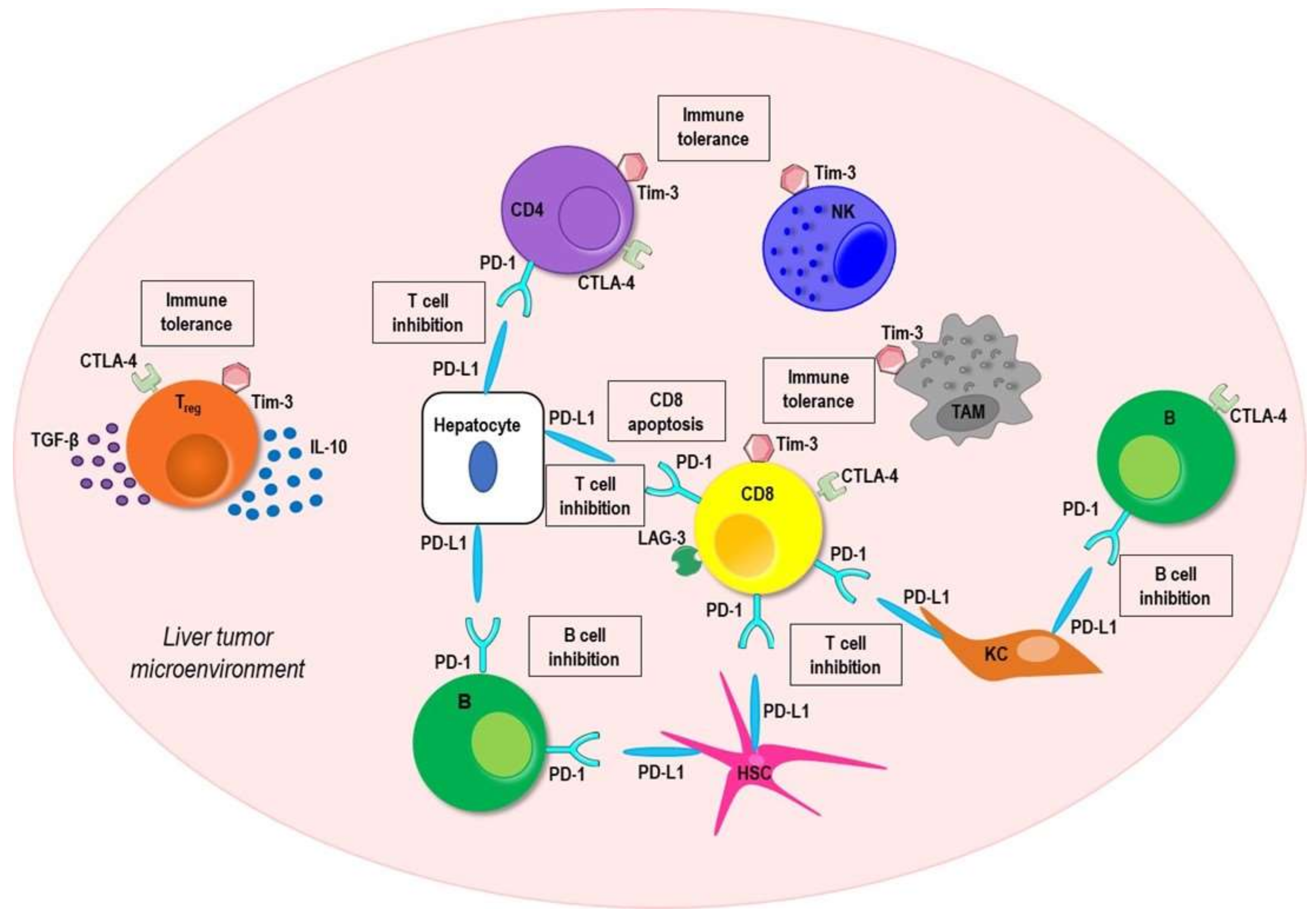 Vaccines 09 00532 g002 Vaccines 09 00532 g002