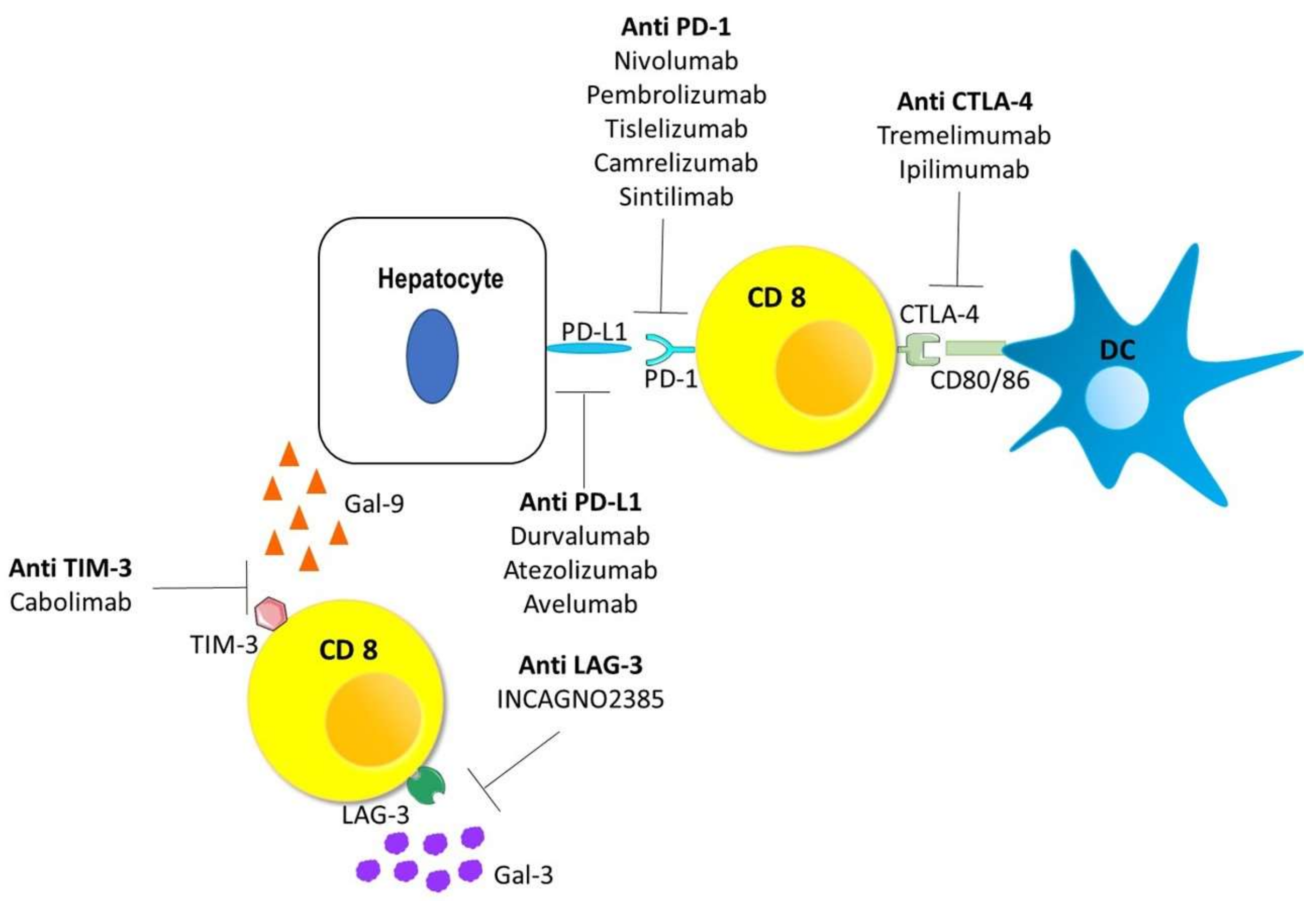 Vaccines 09 00532 g003 Vaccines 09 00532 g003