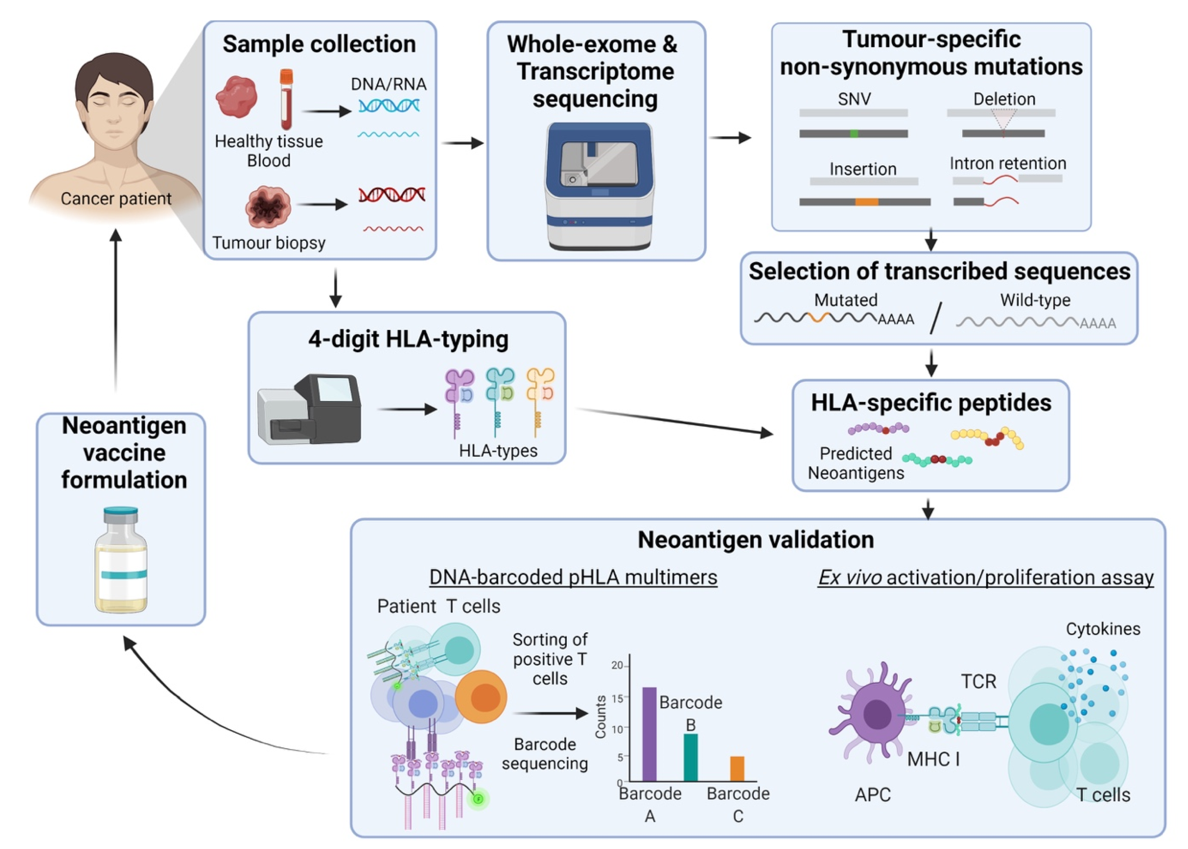 Vaccines 09 00535 g001