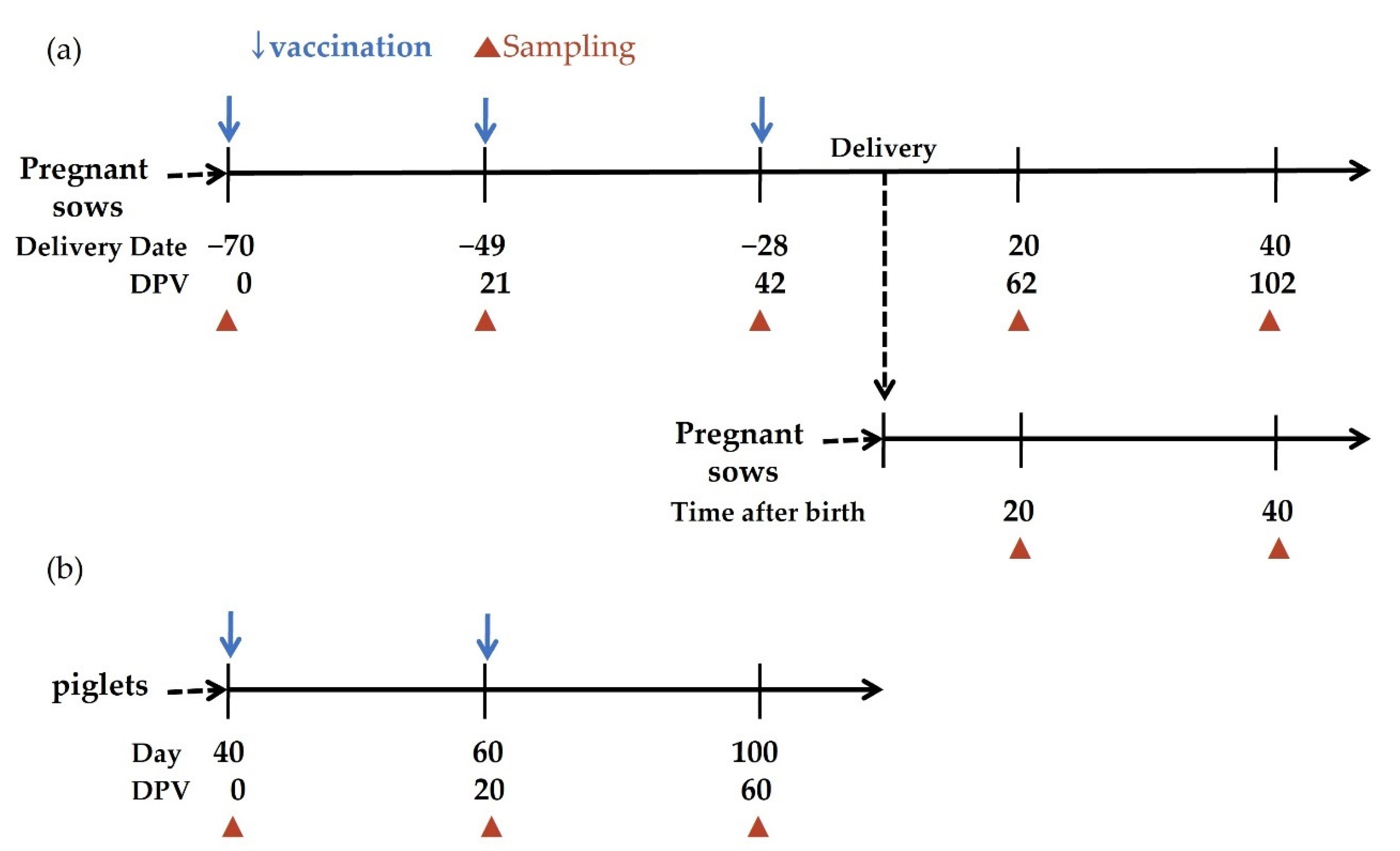 Vaccines 09 00537 g001