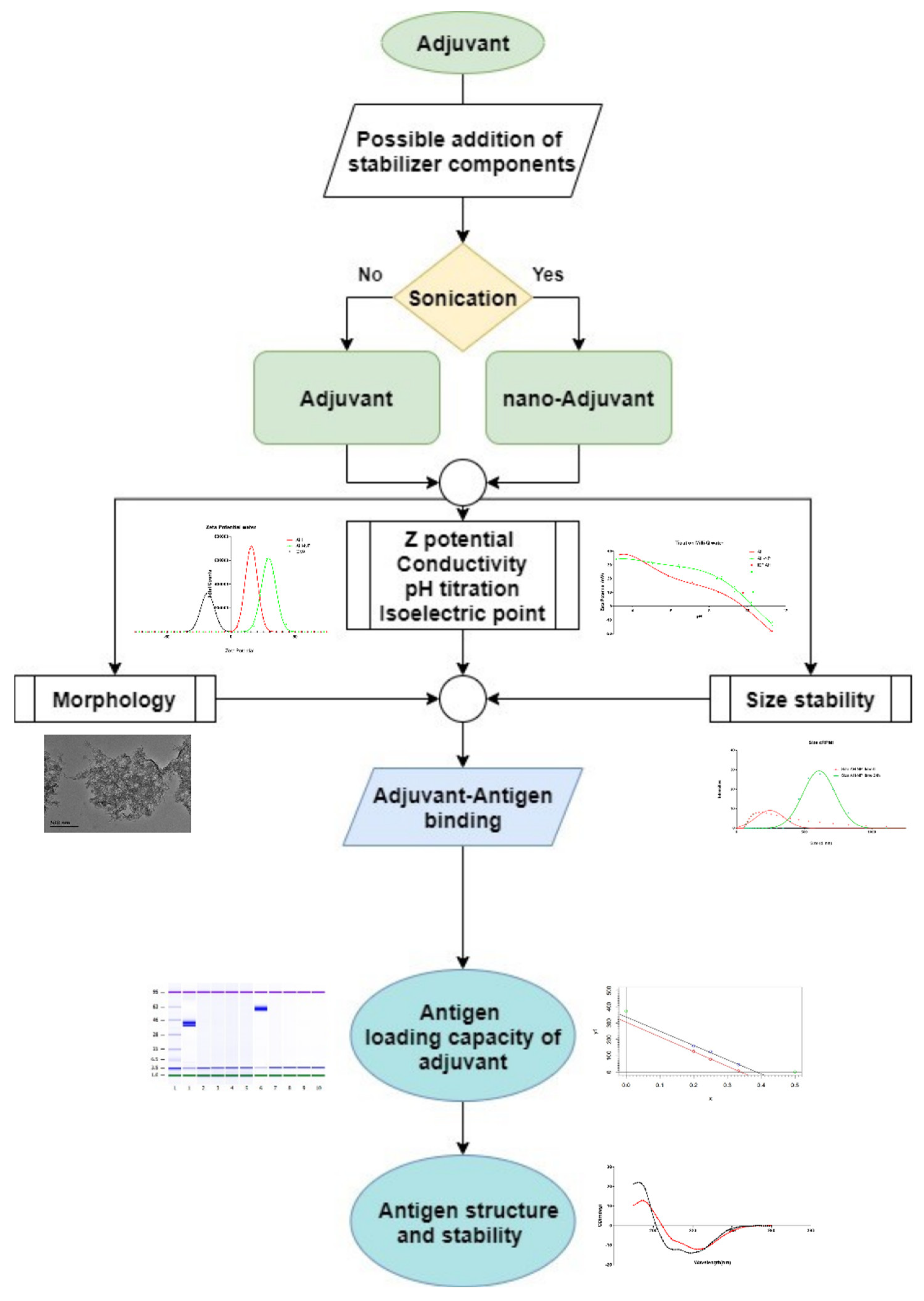 Vaccines 09 00544 g005 Vaccines 09 00544 g005