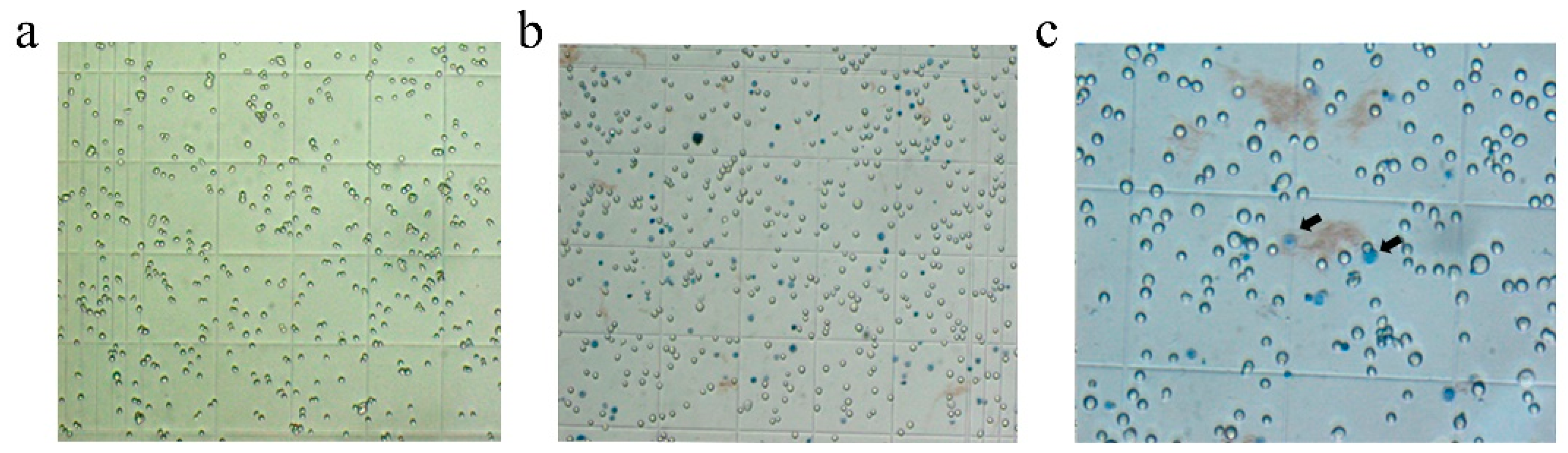 Vaccines 09 00554 g004