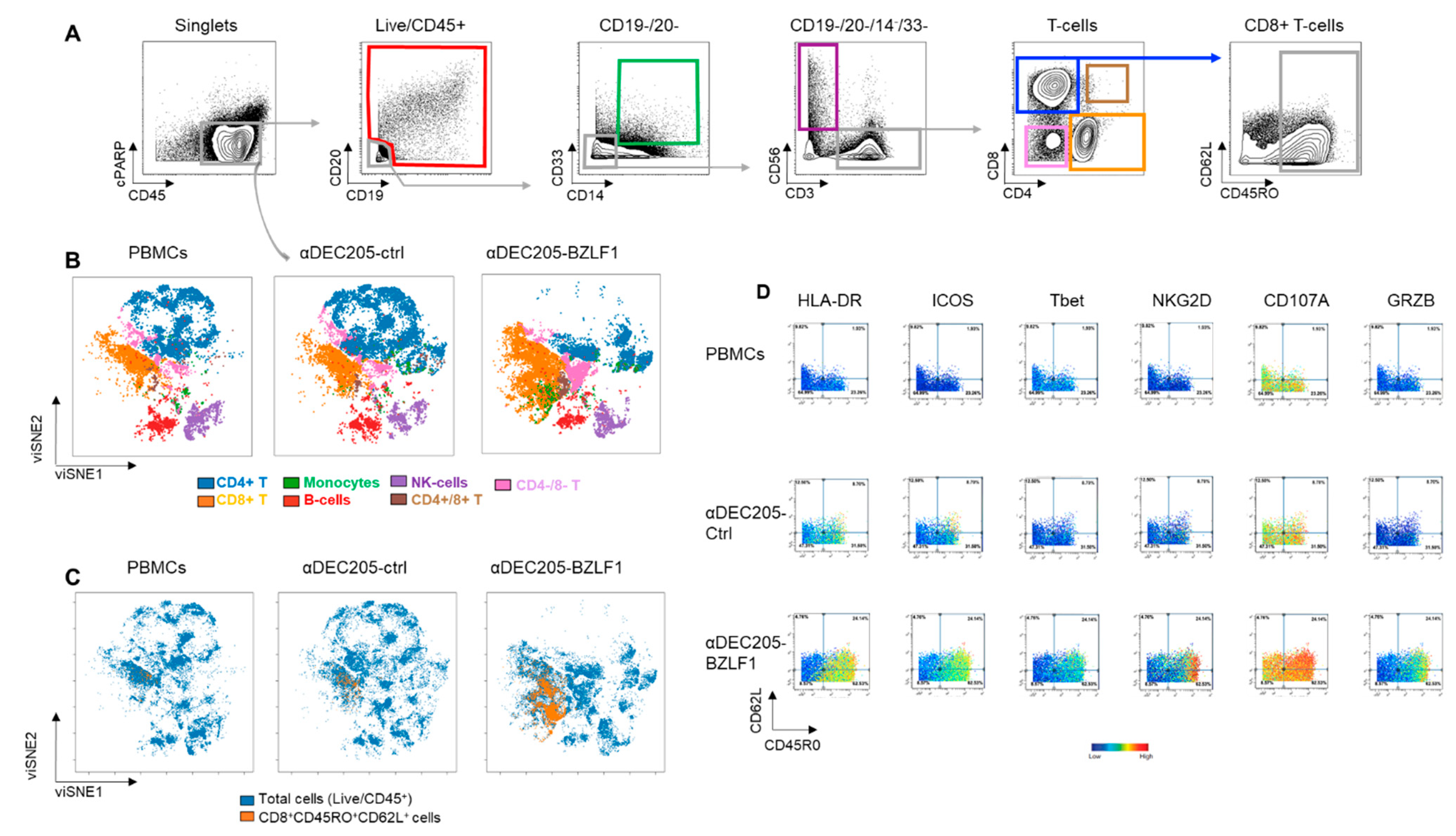 Vaccines 09 00555 g003 Vaccines 09 00555 g003