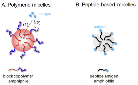 Vaccines 09 00558 g002 Vaccines 09 00558 g002