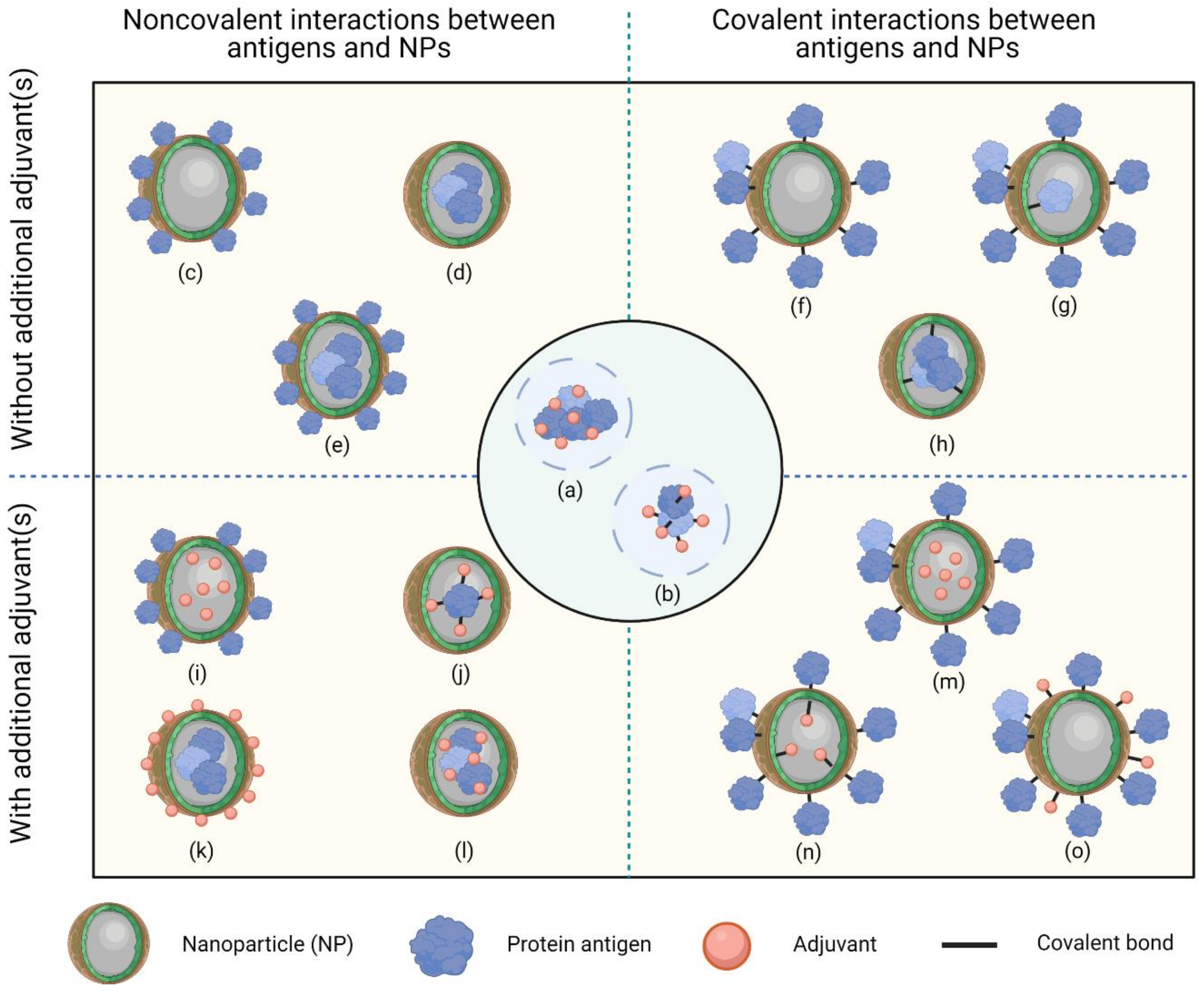 Vaccines 09 00563 g002