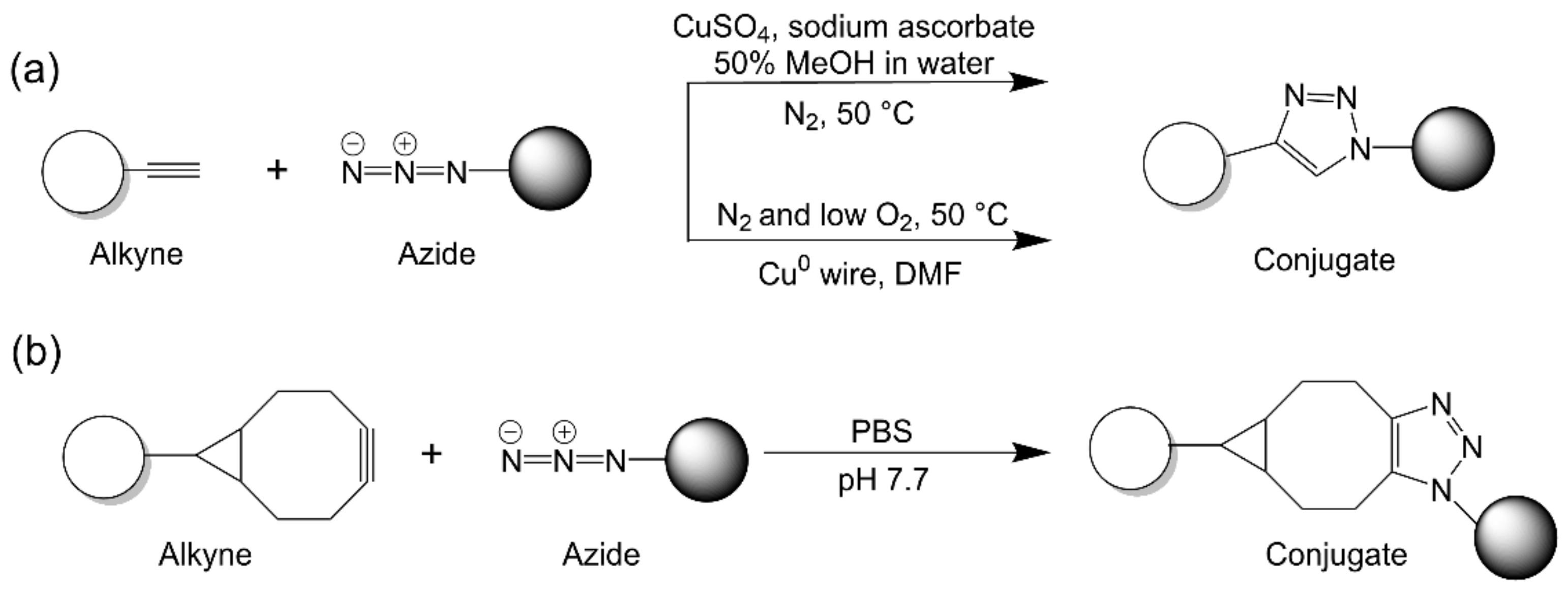 Vaccines 09 00563 g004