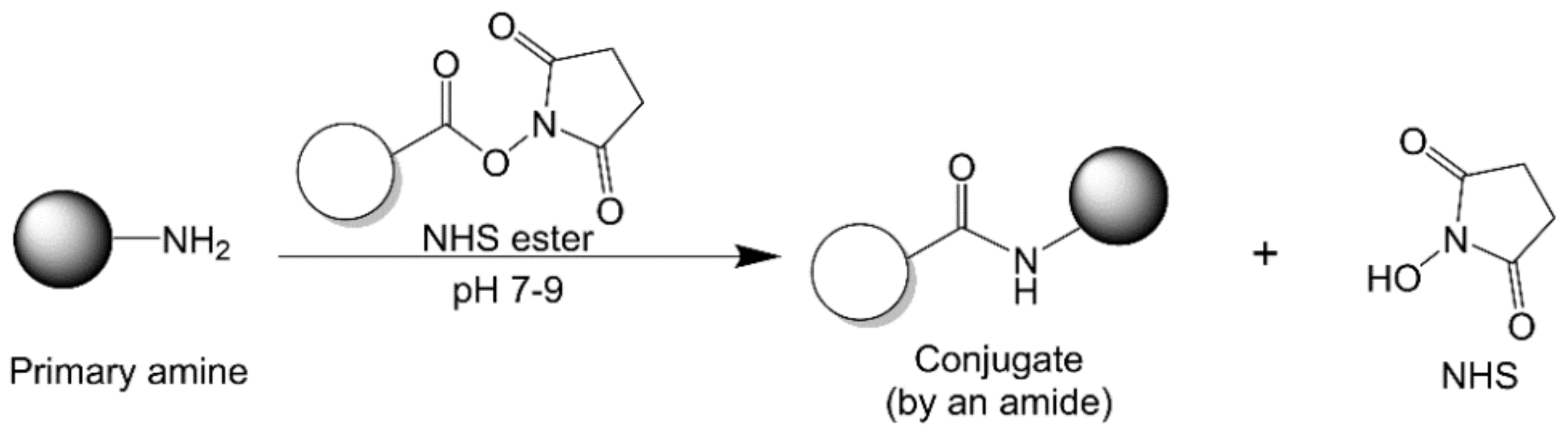 Vaccines 09 00563 g006