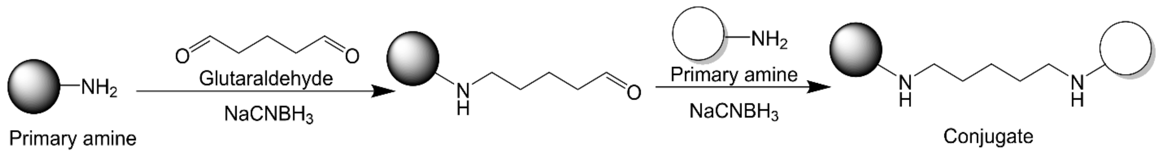 Vaccines 09 00563 g007