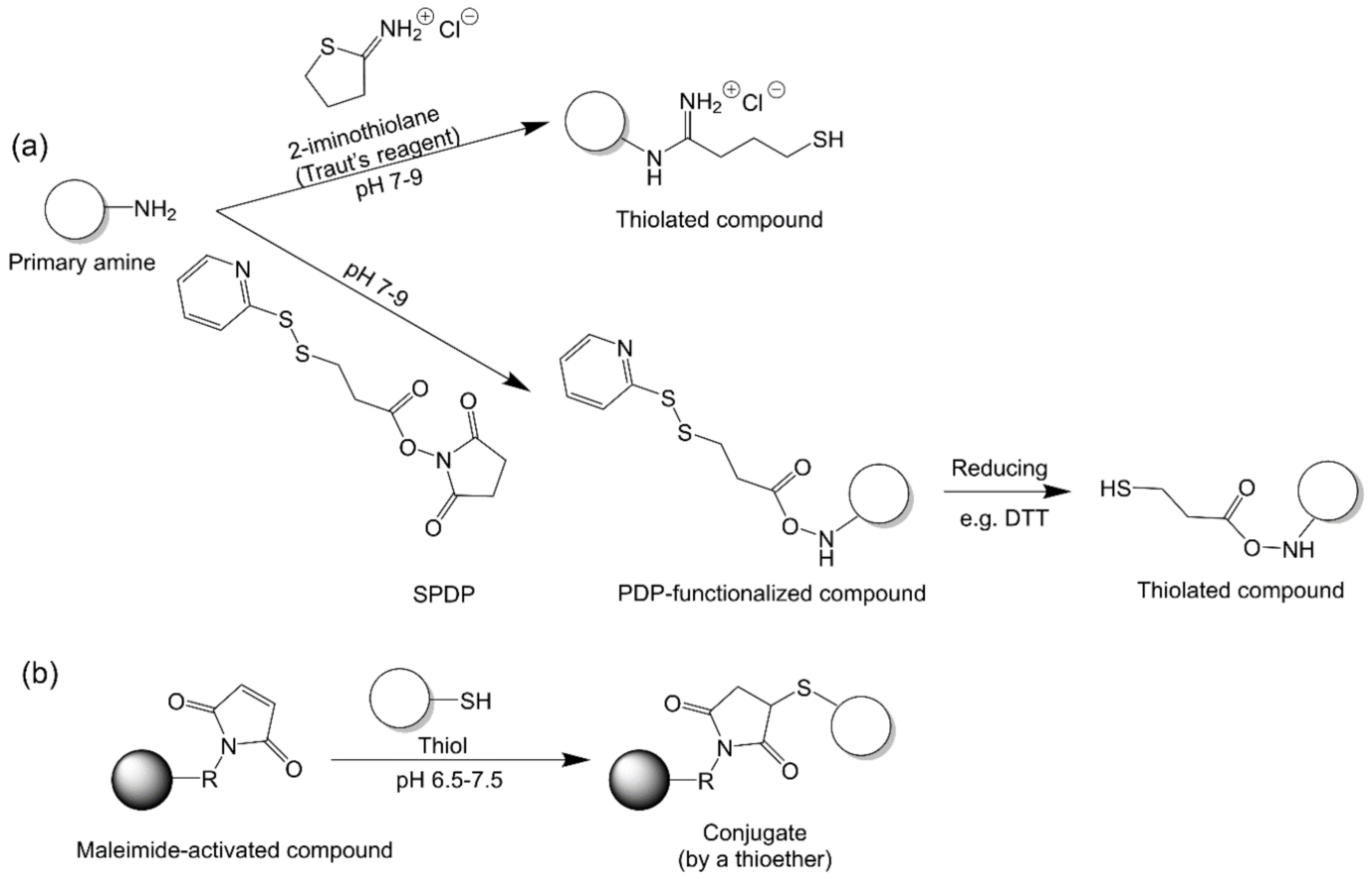 Vaccines 09 00563 g008