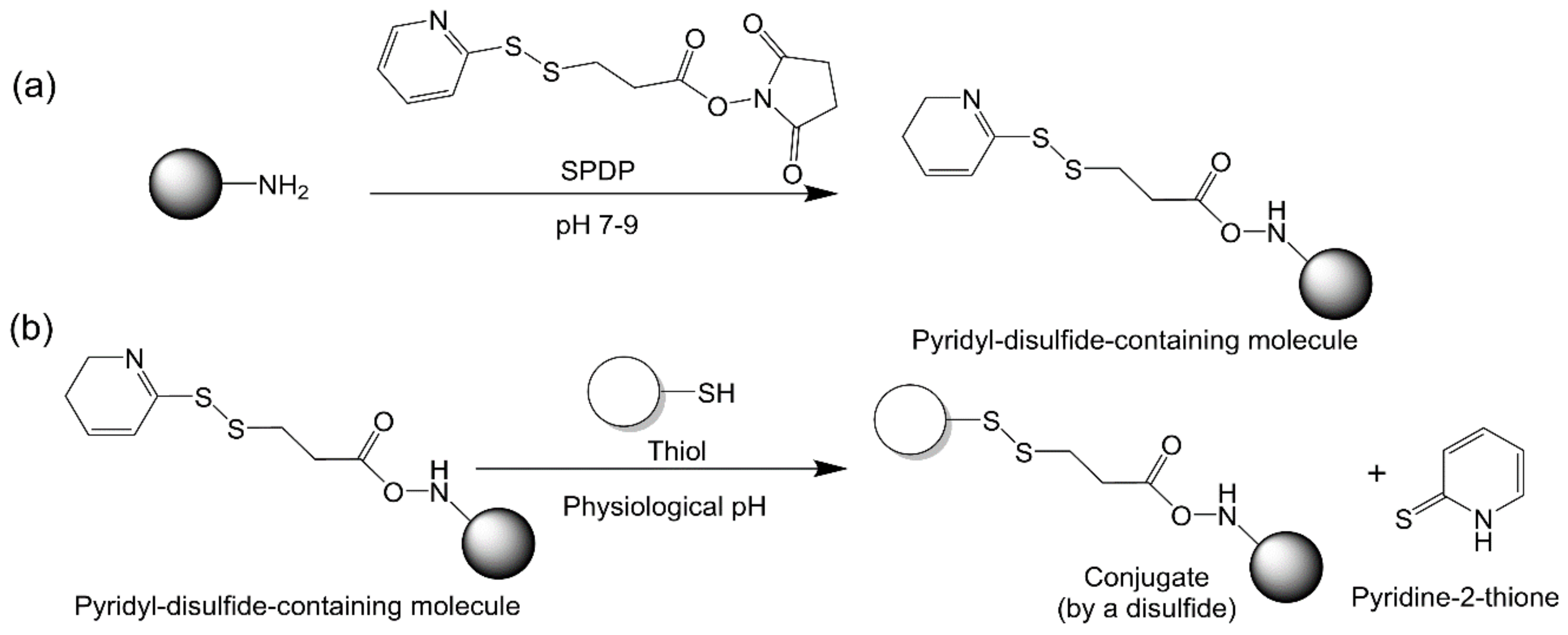 Vaccines 09 00563 g009