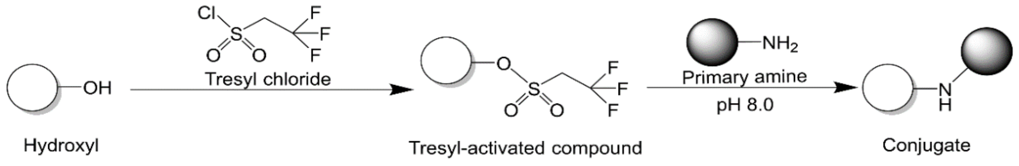 Vaccines 09 00563 g010