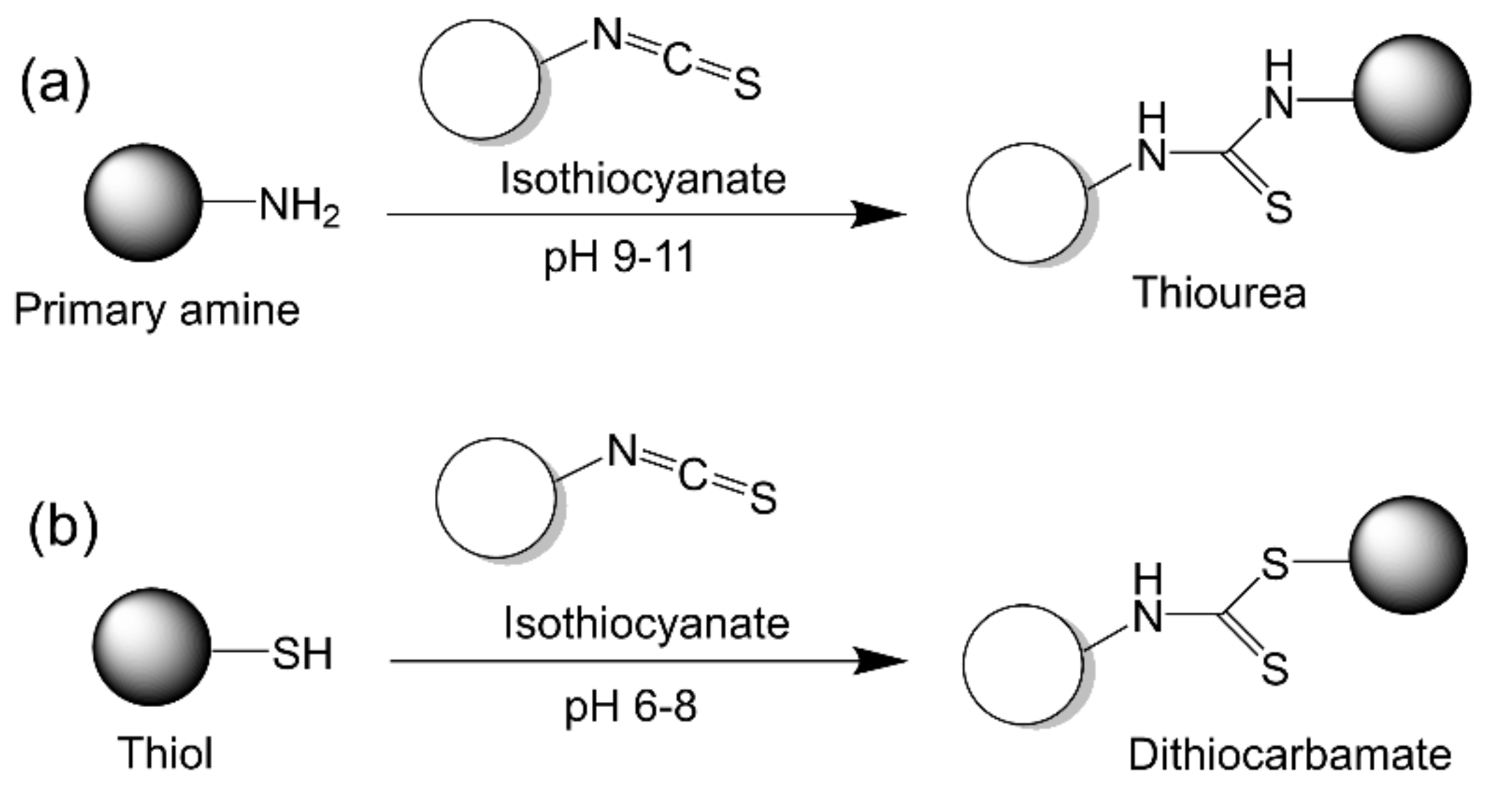 Vaccines 09 00563 g011