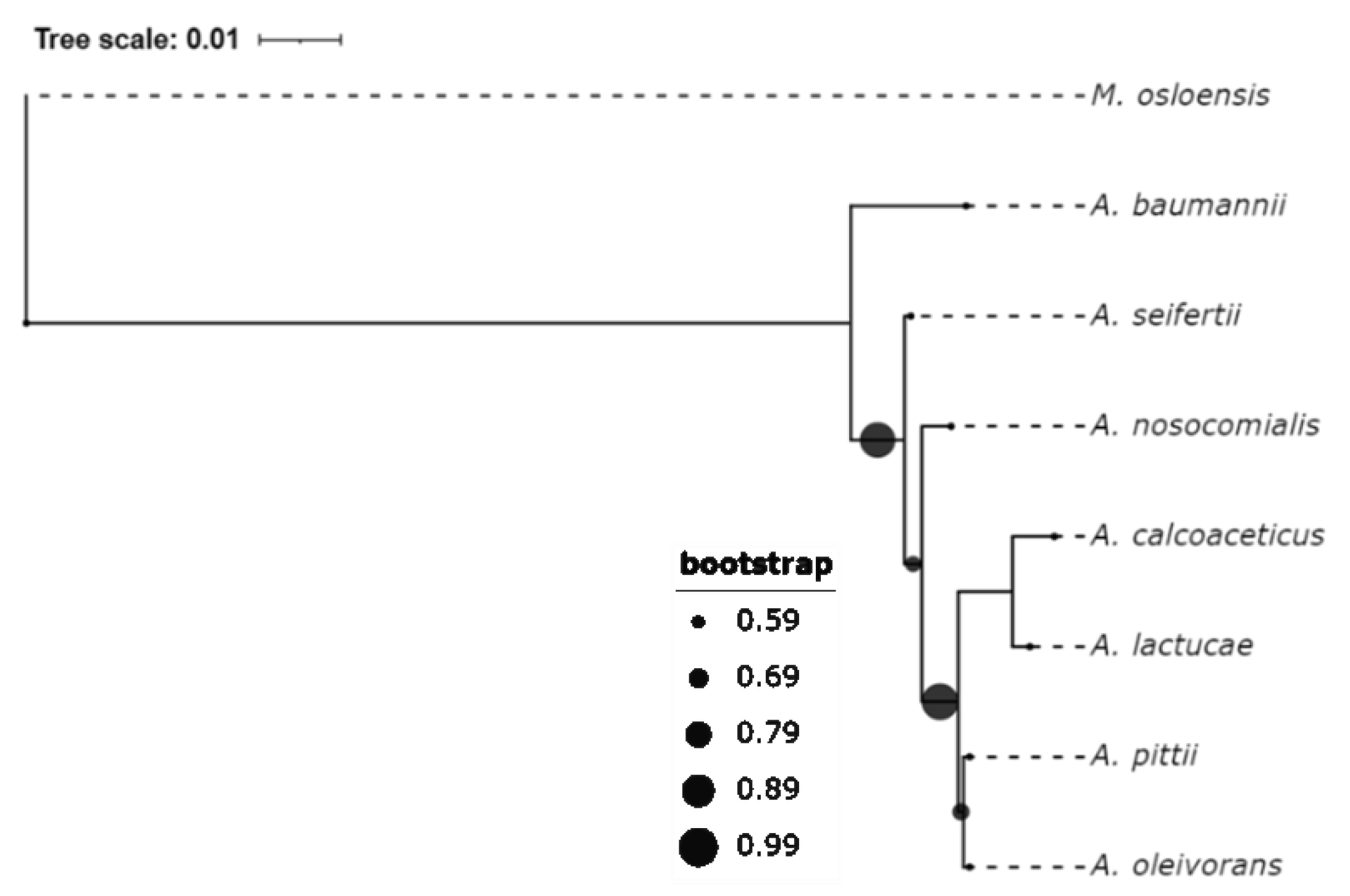 Vaccines 09 00570 g001 Vaccines 09 00570 g001