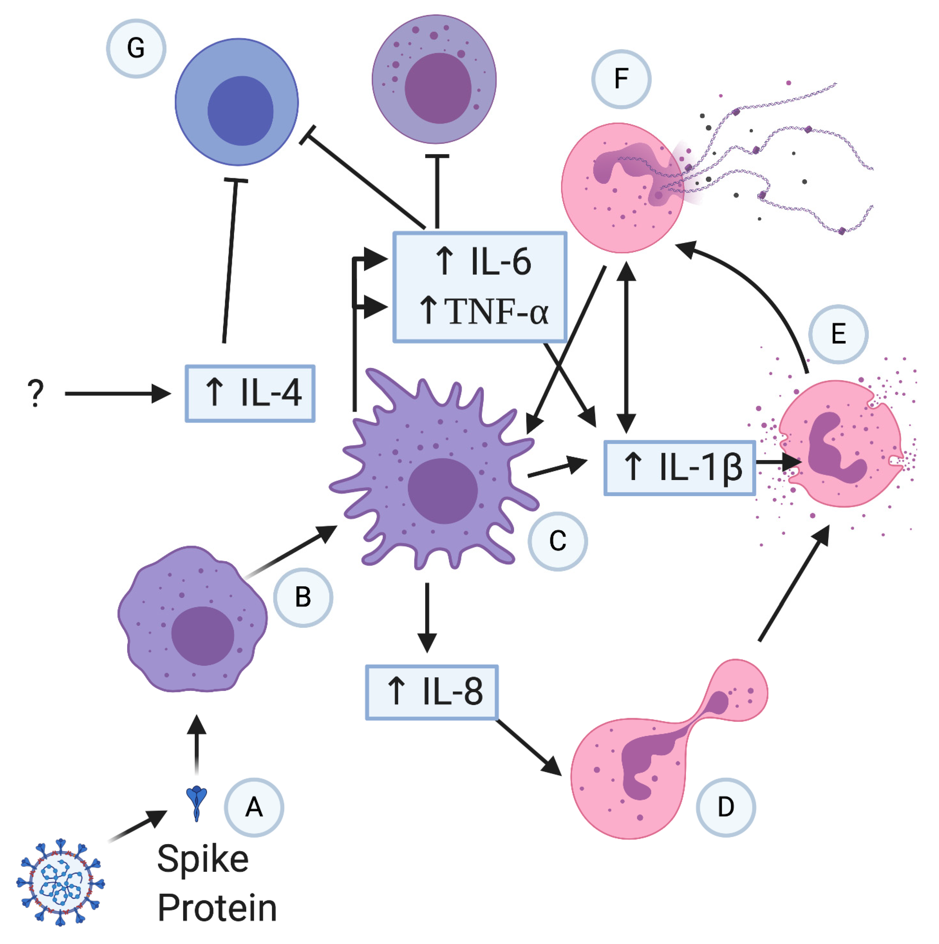 Vaccines 09 00596 g002