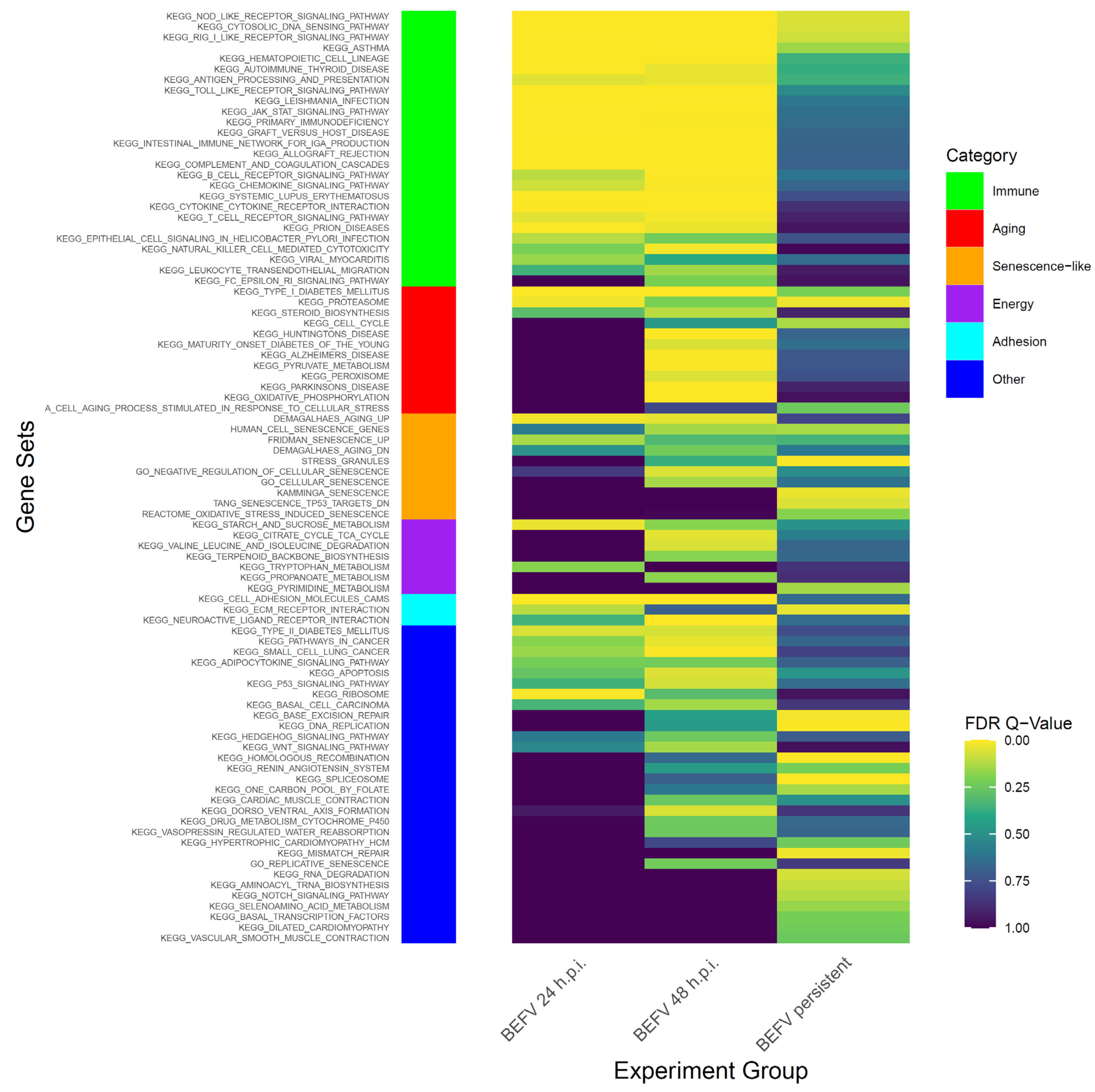Vaccines 09 00601 g002 Vaccines 09 00601 g002