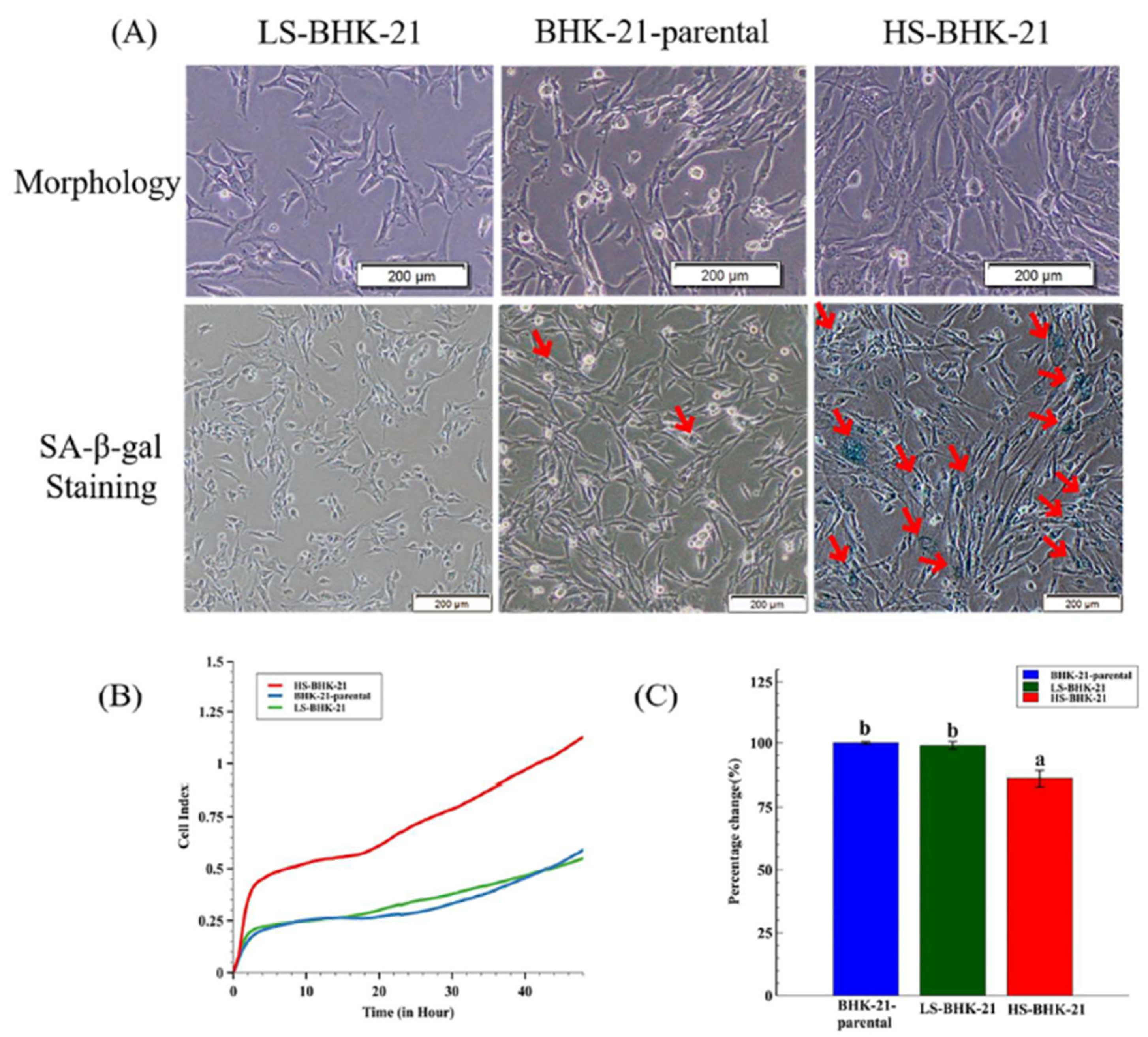 Vaccines 09 00601 g003 Vaccines 09 00601 g003