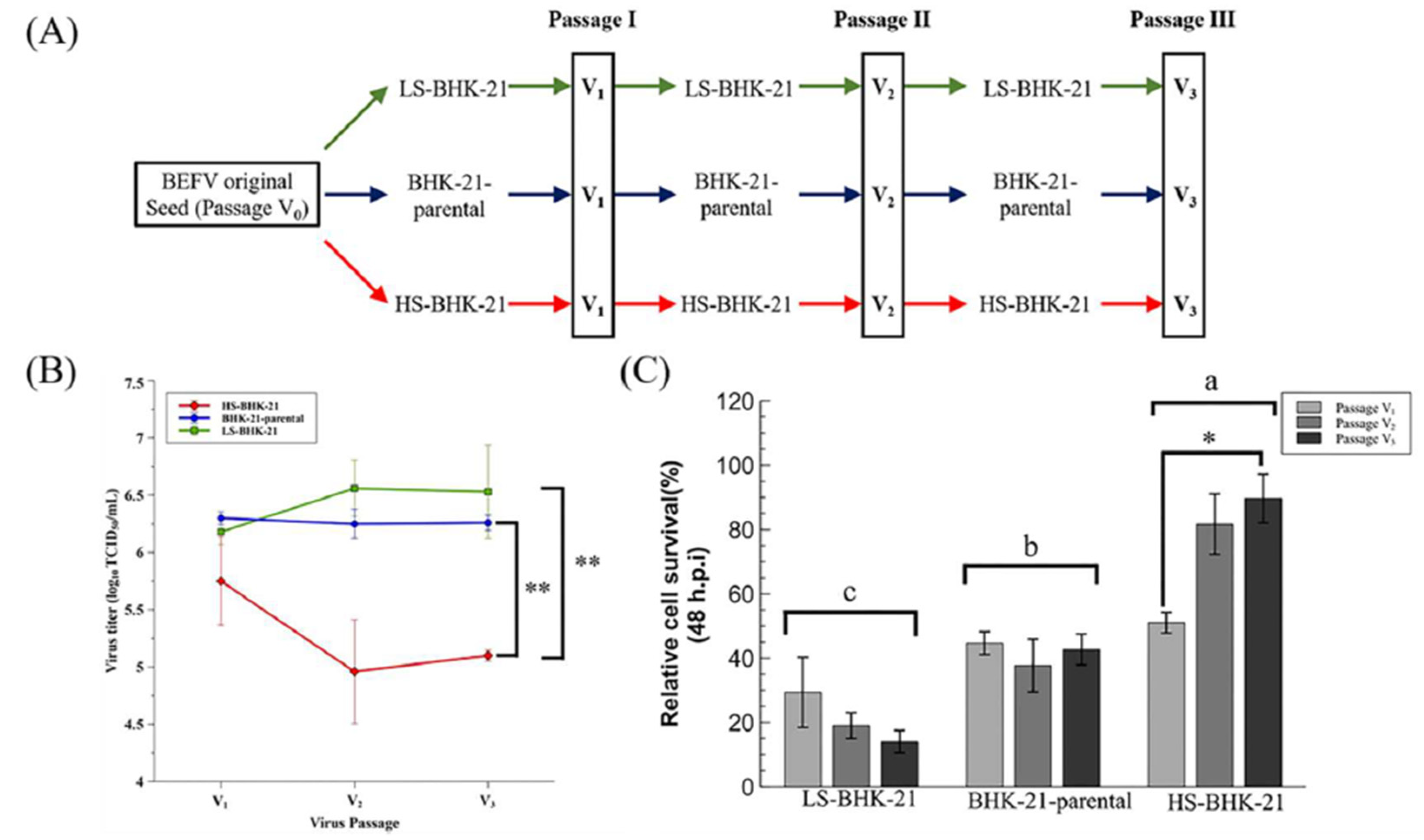 Vaccines 09 00601 g004 Vaccines 09 00601 g004